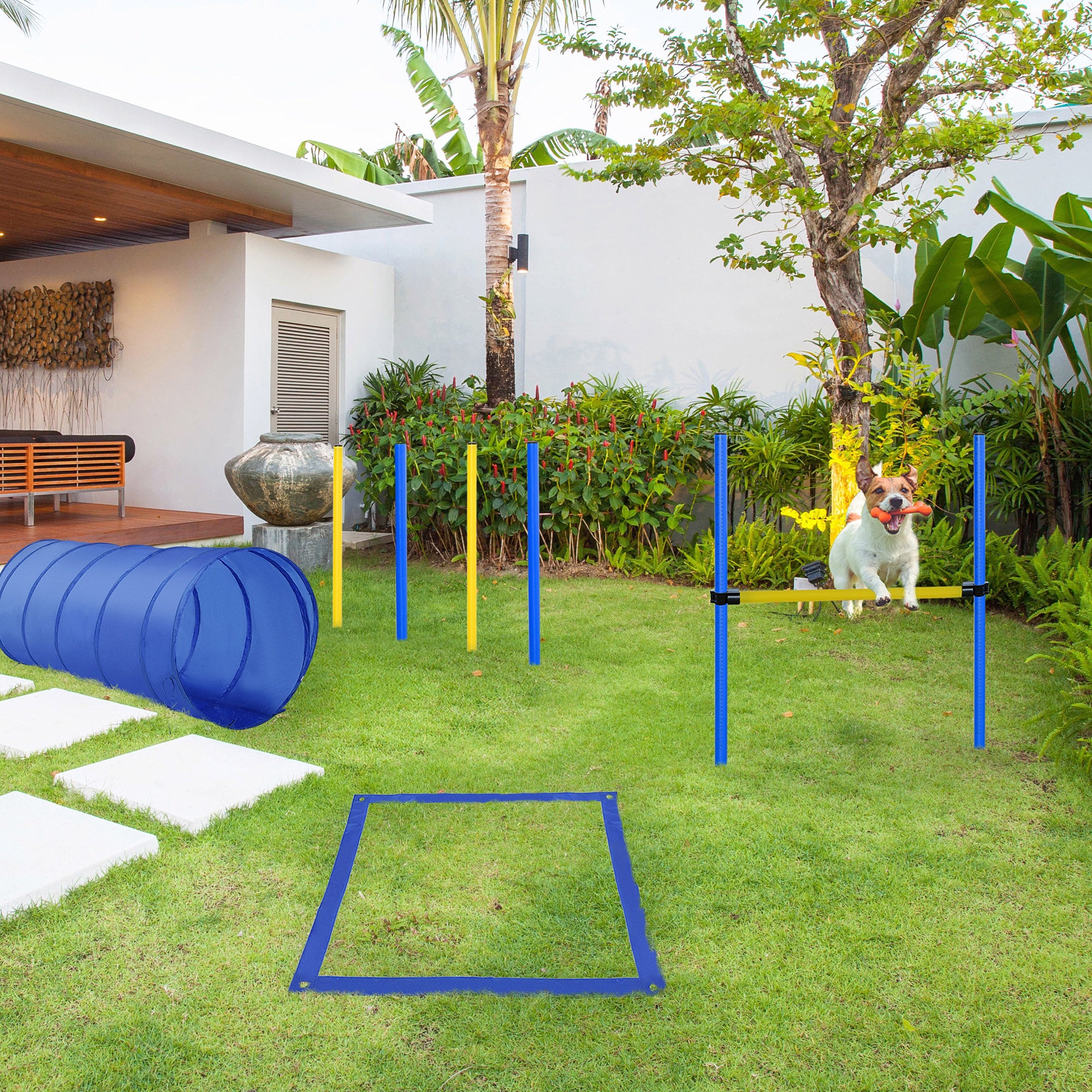 Conjunto de Treino de Agilidade para Cães – 148xØ60 cm – Azul e Amarelo – Plástico
