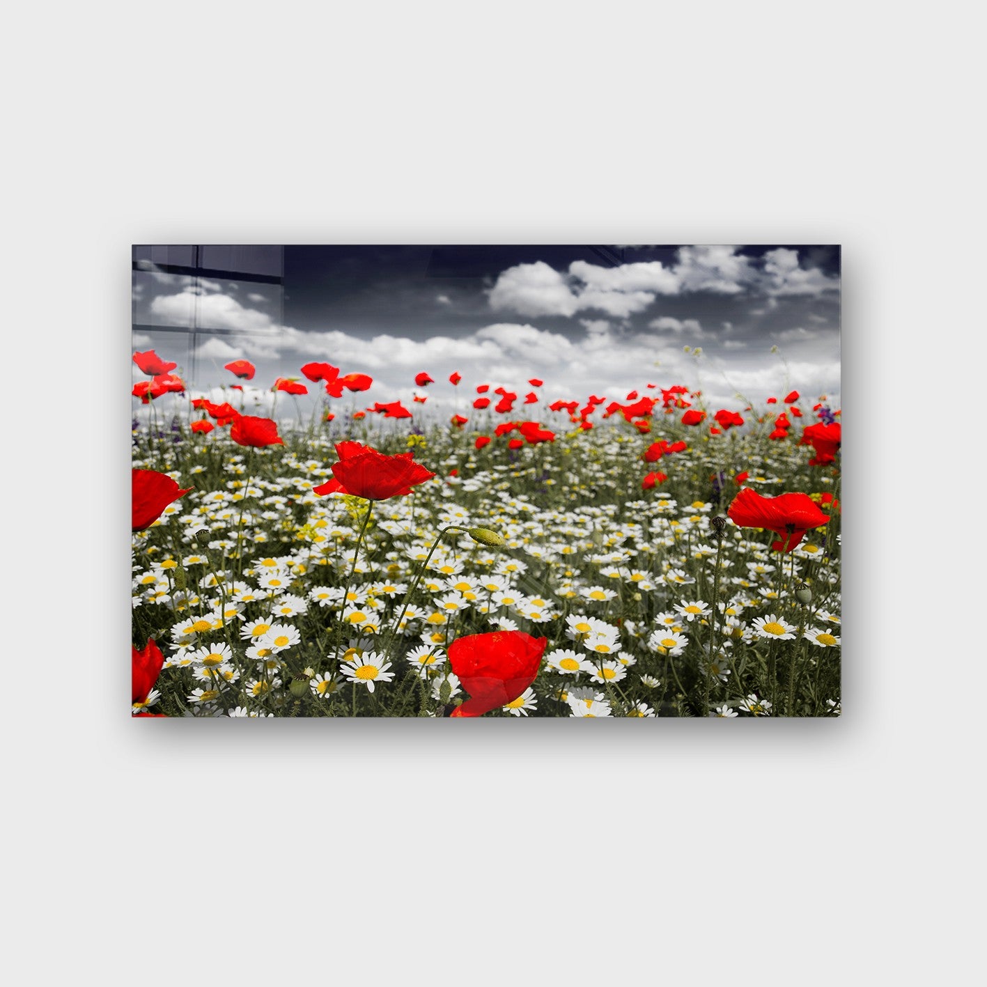 Quadro Decorativo em Vidro Temperado Multicolor 40x60cm - Arte Moderna para Parede