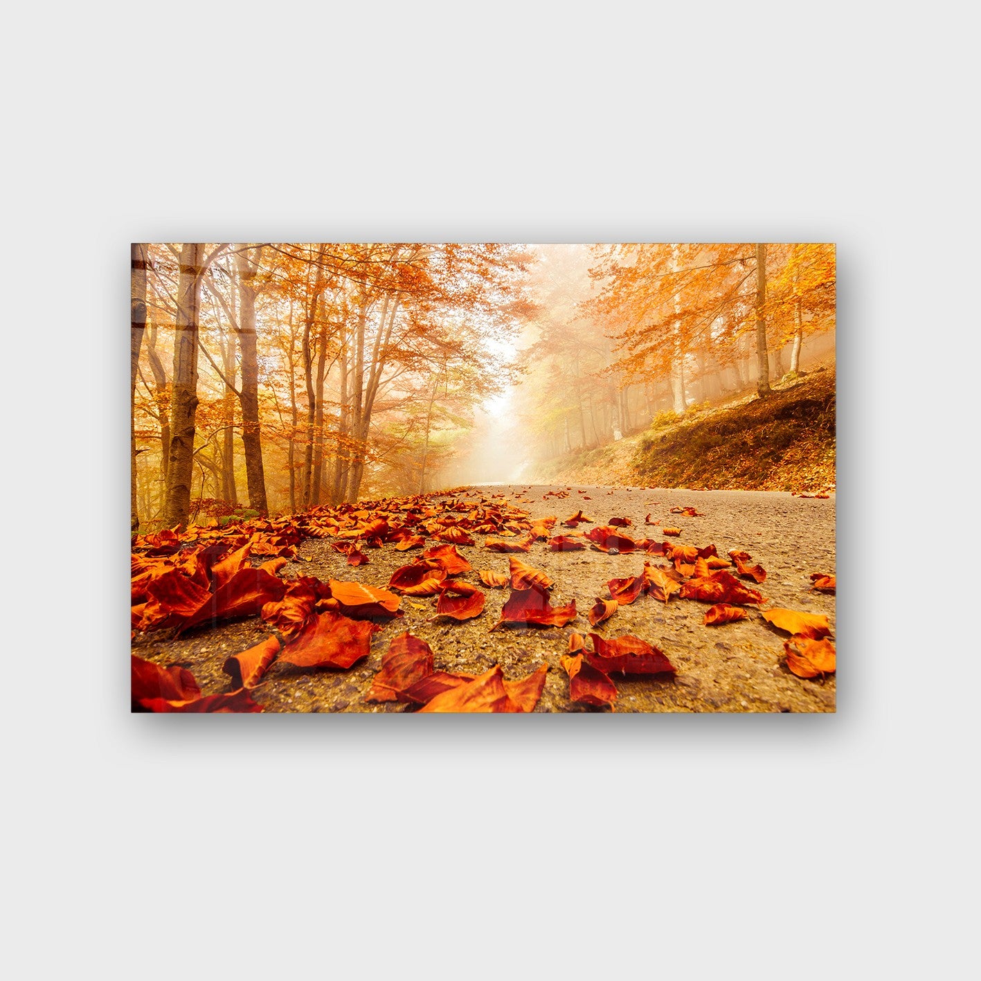 Quadro Decorativo em Vidro Temperado Multicolor 40x60cm - Arte Moderna para Parede