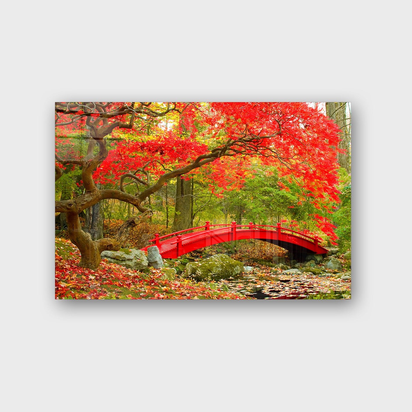 Quadro Decorativo em Vidro Temperado Multicolor 40x60cm - Arte Moderna para Parede