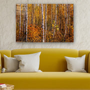 Quadro Decorativo em Vidro Temperado Multicolor 50x70cm - Arte Moderna para Parede