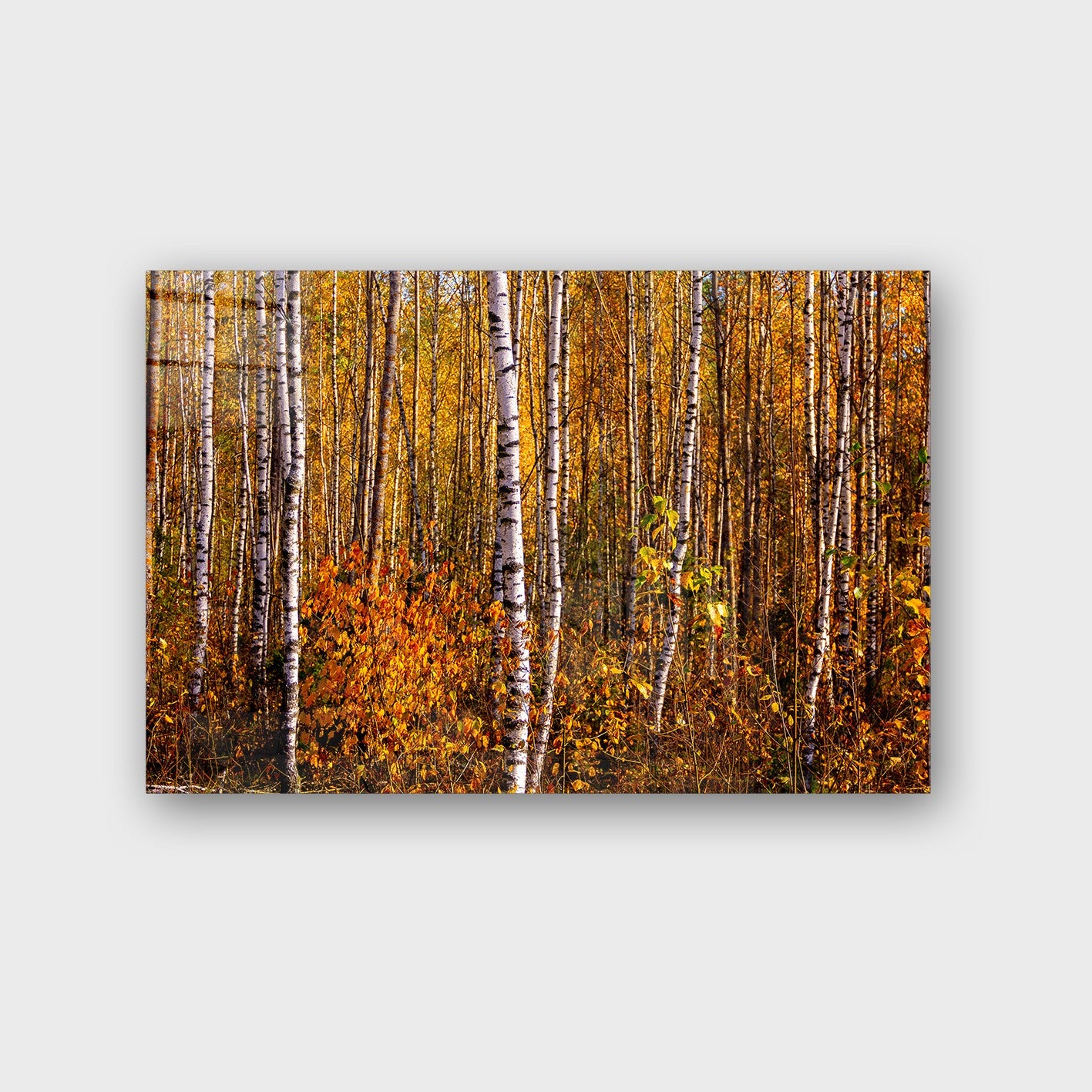 Quadro Decorativo em Vidro Temperado Multicolor 70x100cm - Arte Moderna para Parede