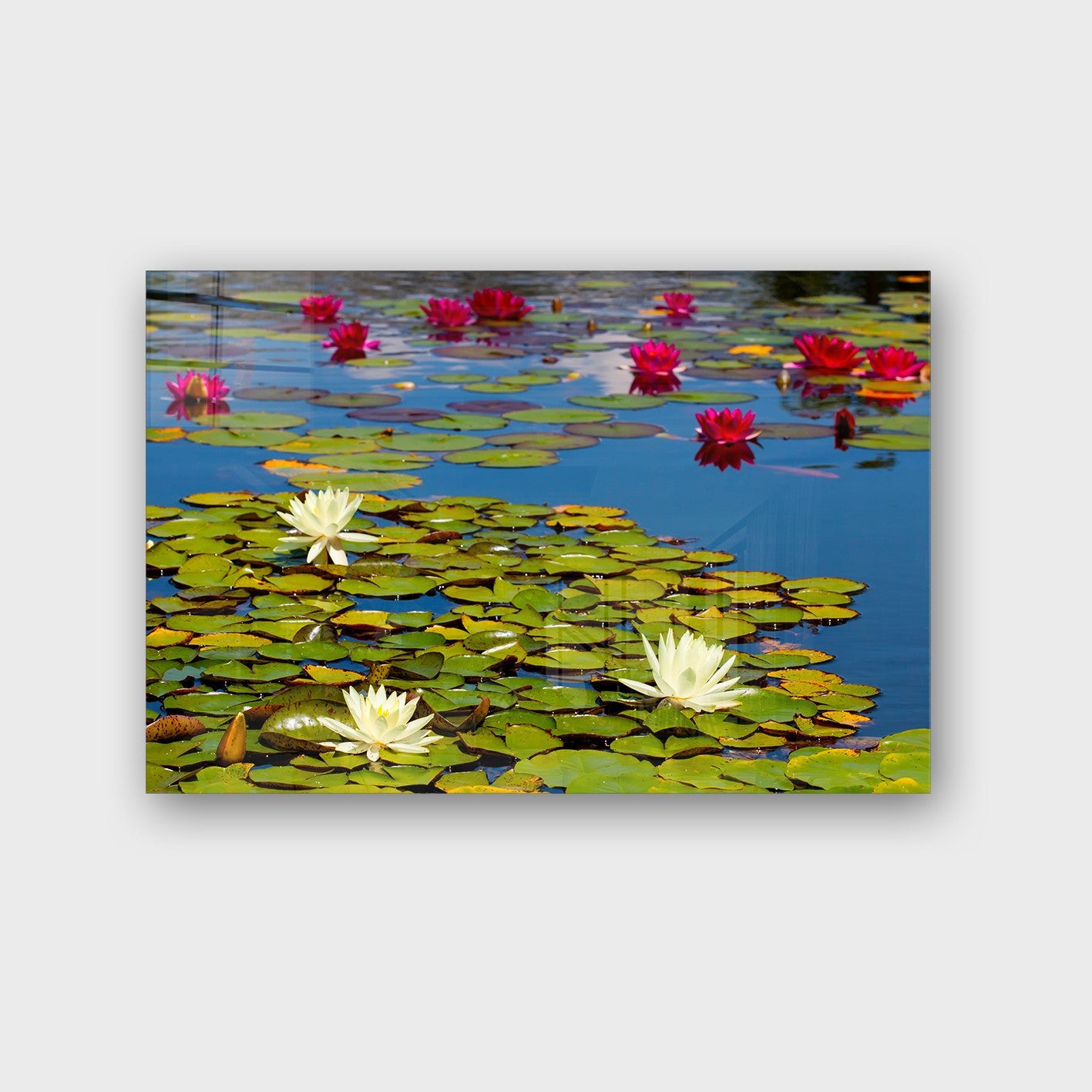 Quadro Decorativo em Vidro Temperado Multicolor 50x70cm - Arte Moderna para Parede