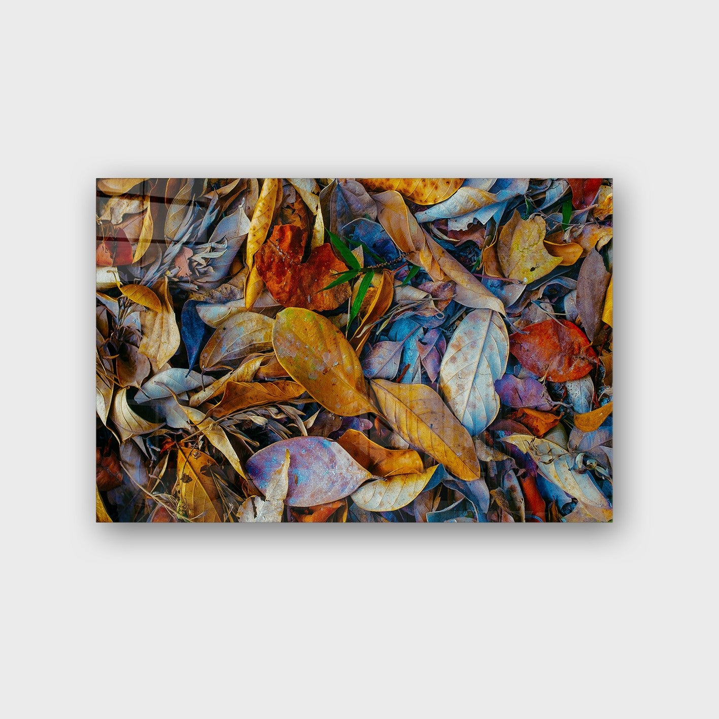 Quadro Decorativo em Vidro Temperado Multicolor 50x70cm - Arte Moderna para Parede