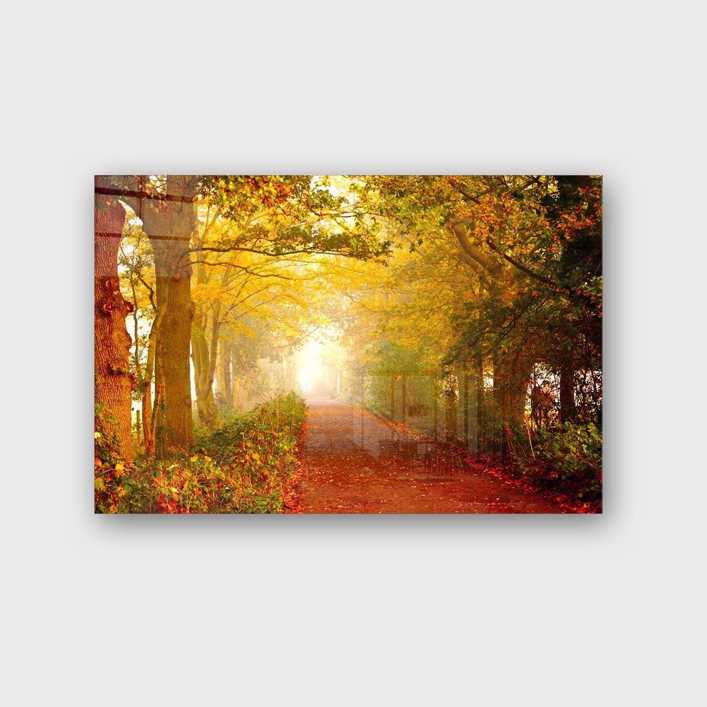 Quadro Decorativo em Vidro Temperado Multicolor 50x70cm - Arte Moderna para Parede