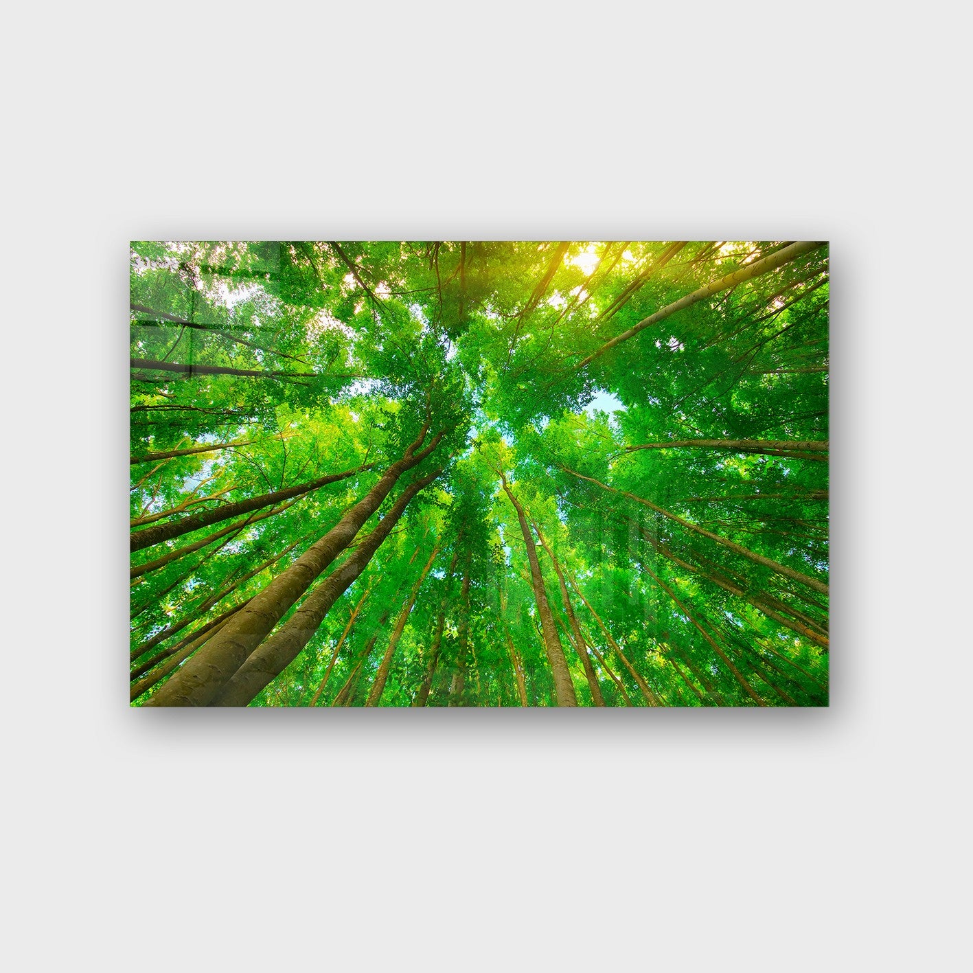 Quadro Decorativo em Vidro Temperado Multicolor 50x70cm - Arte Moderna para Parede