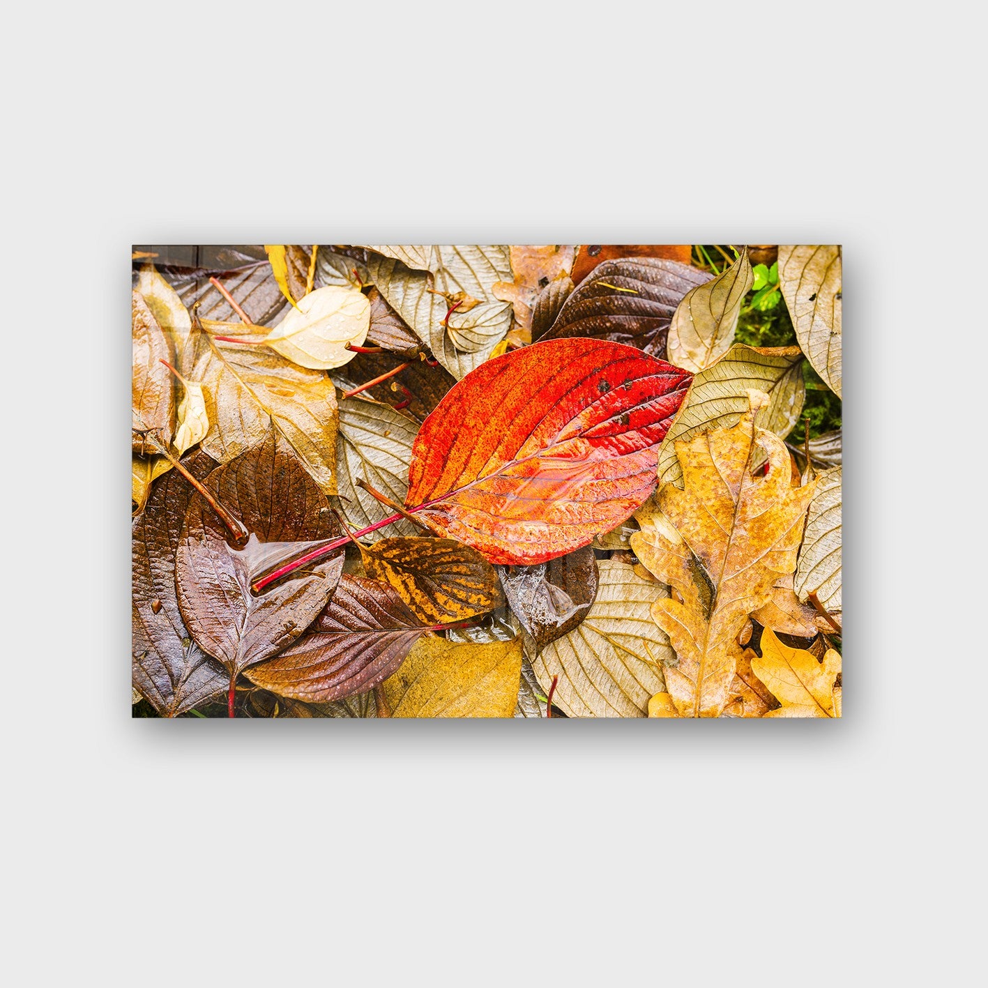 Quadro Decorativo em Vidro Temperado Multicolor 40x60cm - Arte Moderna para Parede