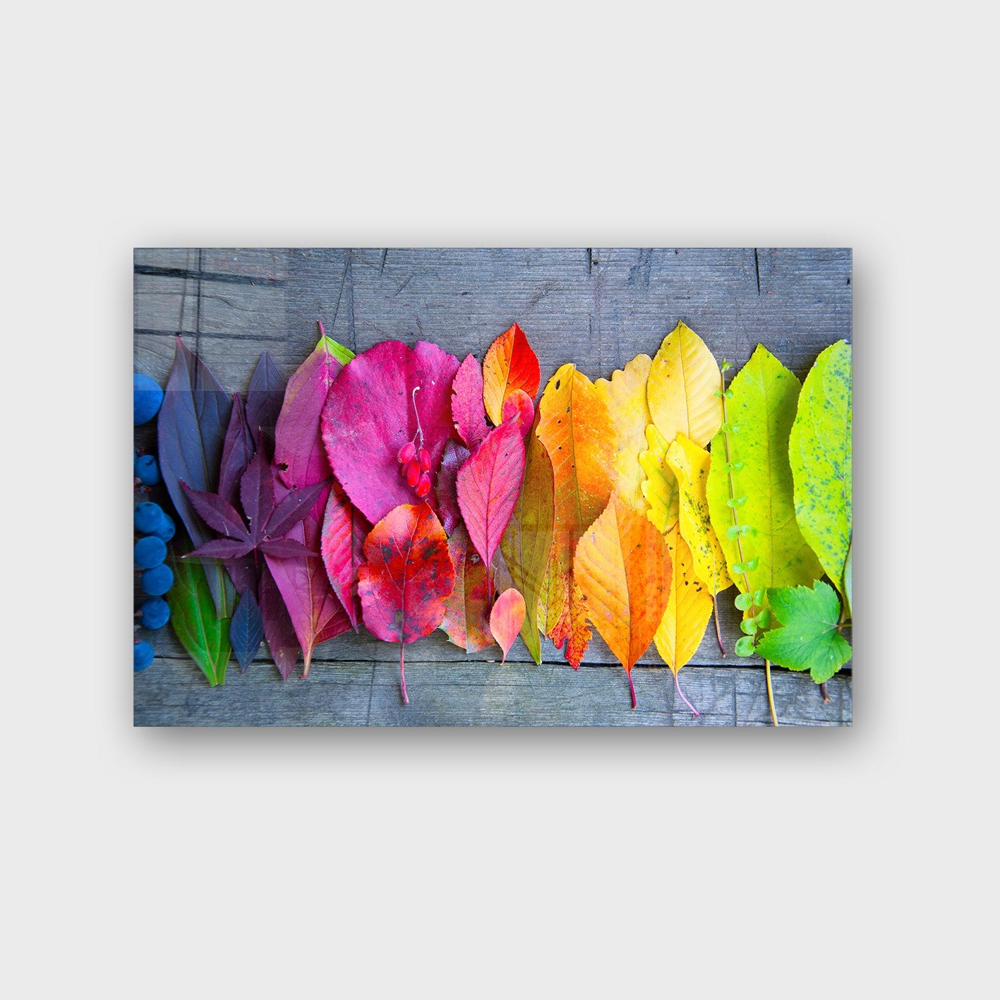 Quadro Decorativo em Vidro Temperado Multicolor 40x60cm - Arte Moderna para Parede