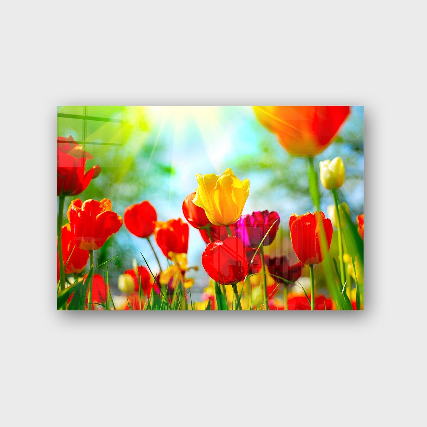 Quadro Decorativo em Vidro Temperado Multicolor 50x70cm - Arte Moderna para Parede