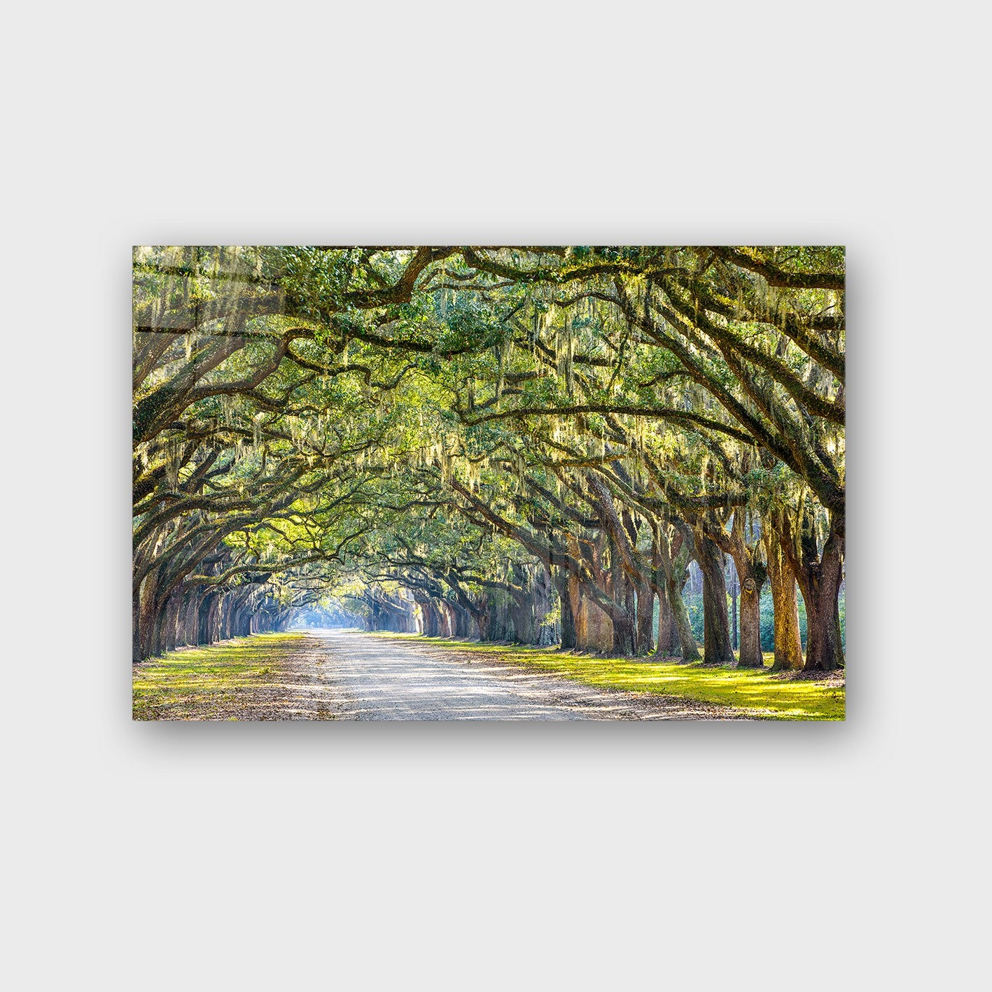 Quadro Decorativo em Vidro Temperado Multicolor 50x70cm - Arte Moderna para Parede