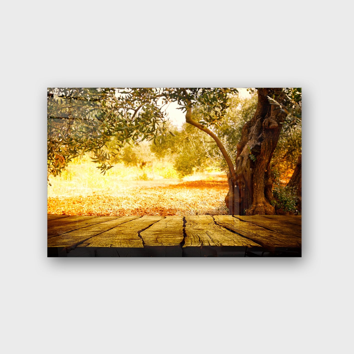 Quadro Decorativo em Vidro Temperado Multicolor 50x70cm - Arte Moderna para Parede