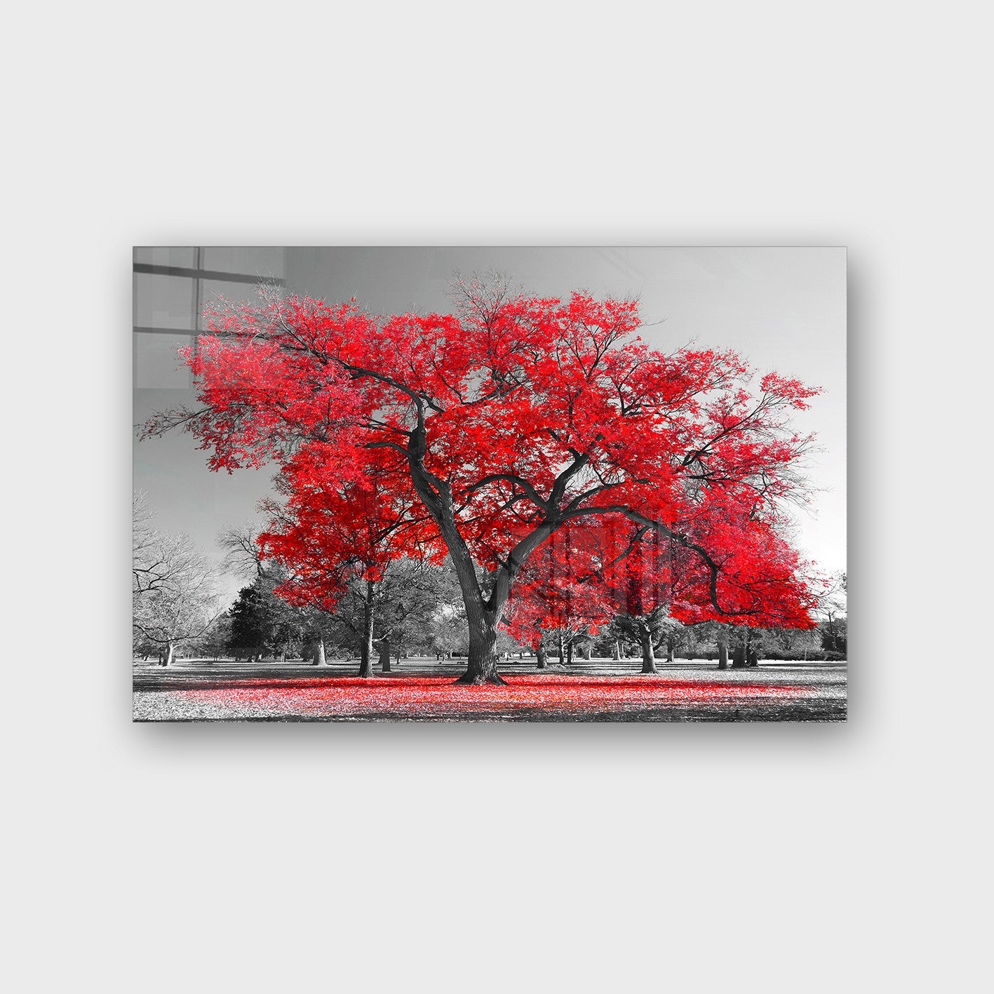 Quadro Decorativo em Vidro Temperado Multicolor 40x60cm - Arte Moderna para Parede