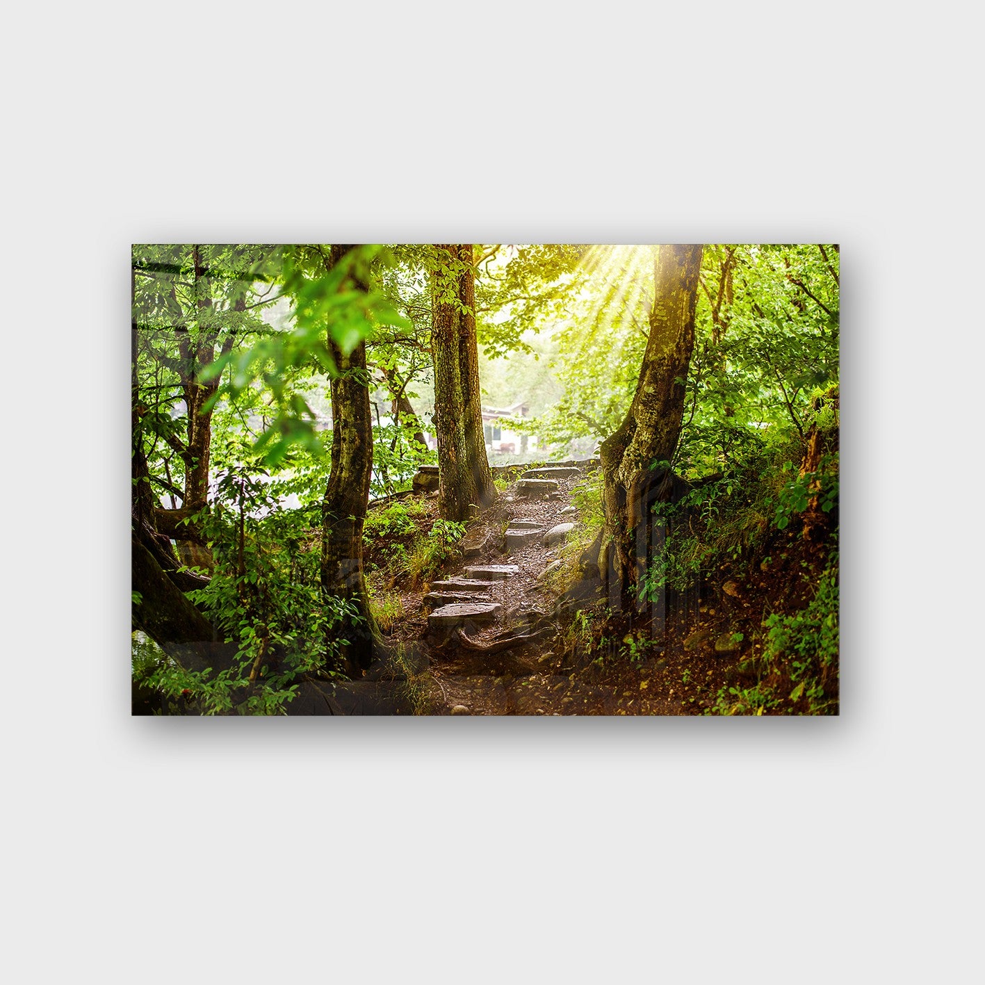 Quadro Decorativo em Vidro Temperado Multicolor 50x70cm - Arte Moderna para Parede