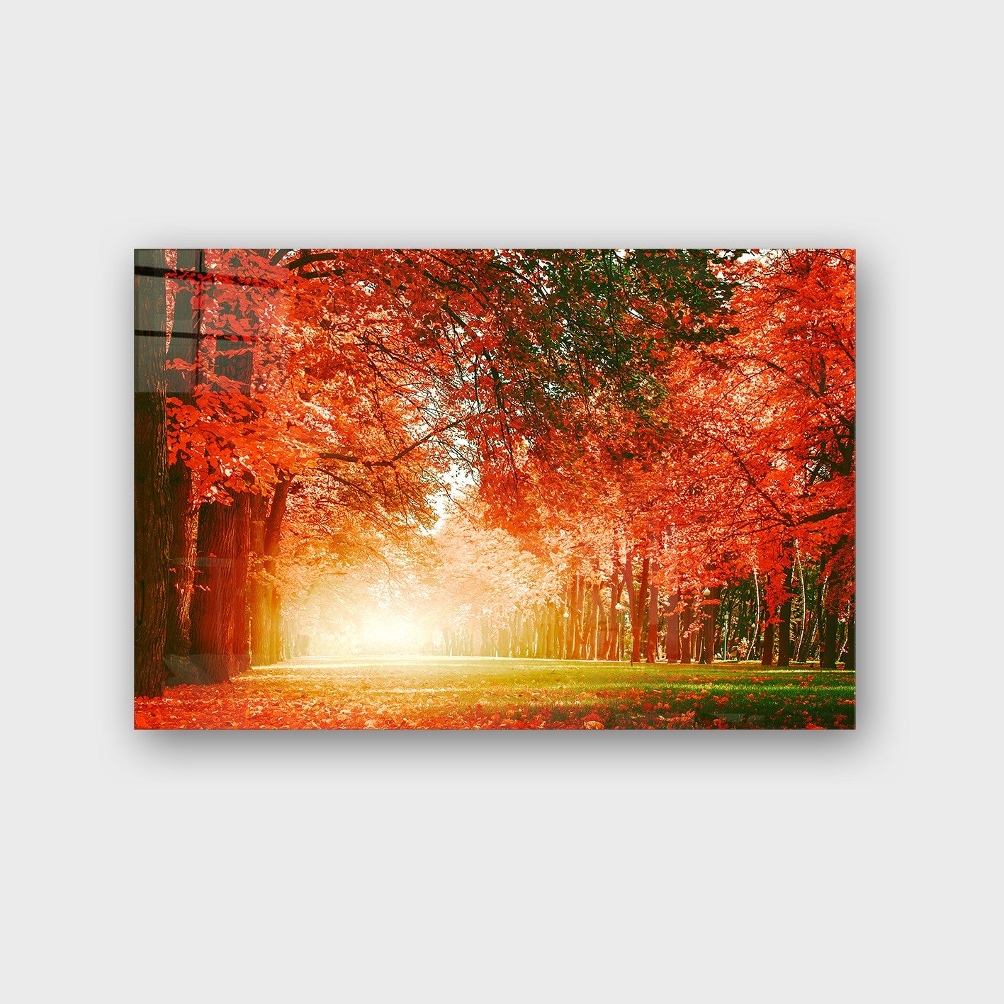 Quadro Decorativo em Vidro Temperado Multicolor 50x70cm - Arte Moderna para Parede