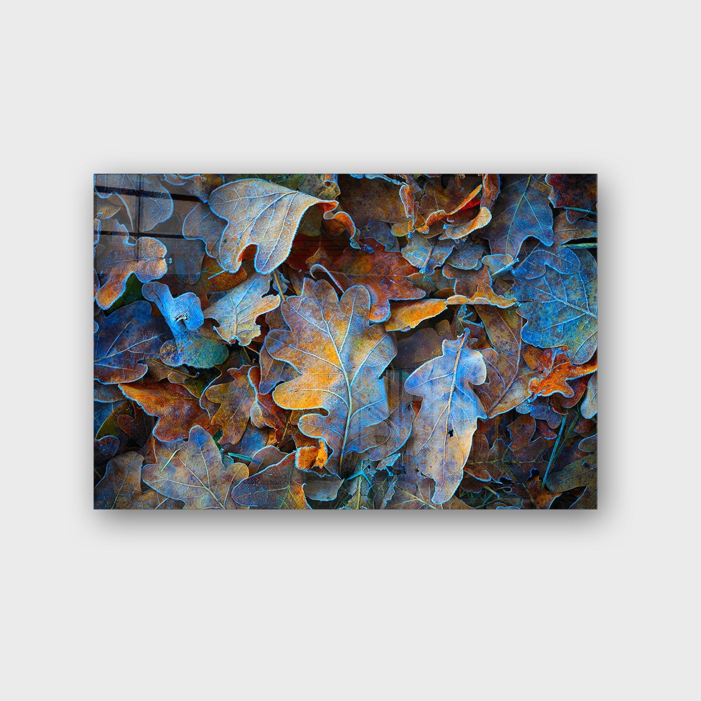 Quadro Decorativo em Vidro Temperado Multicolor 50x70cm - Arte Moderna para Parede