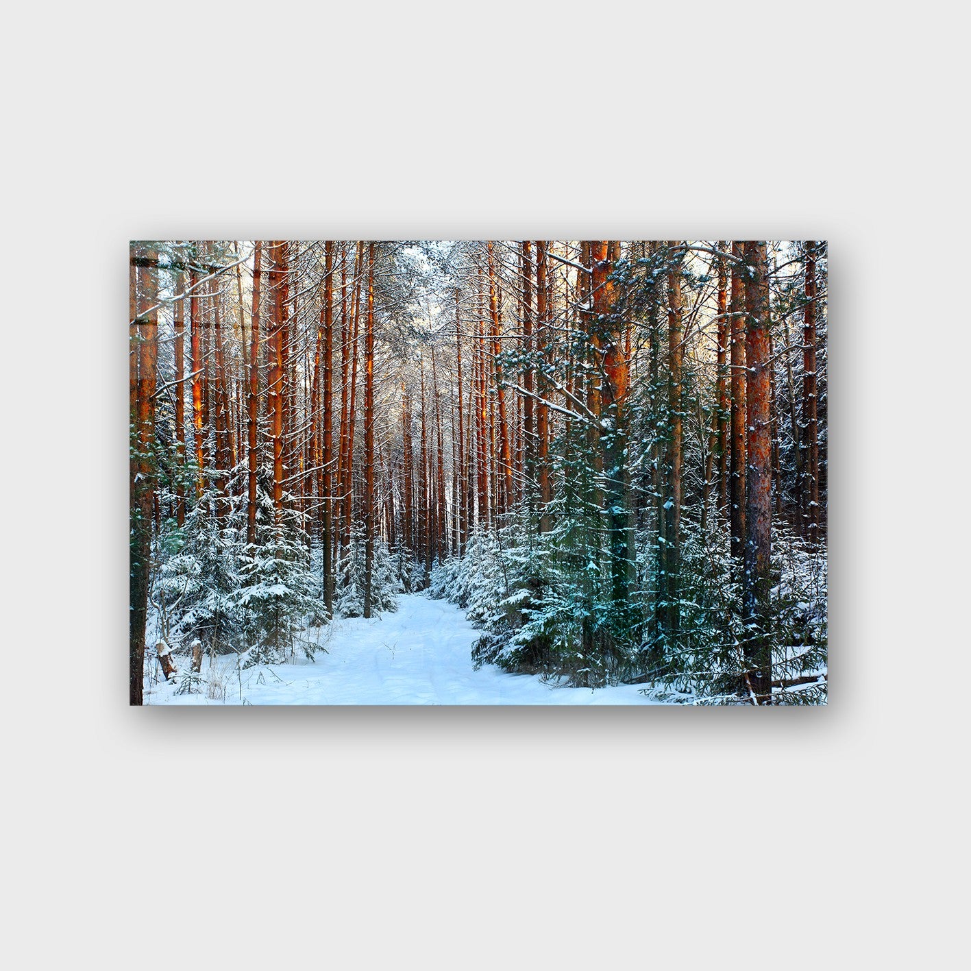 Quadro Decorativo em Vidro Temperado Multicolor 70x100cm - Arte Moderna para Parede