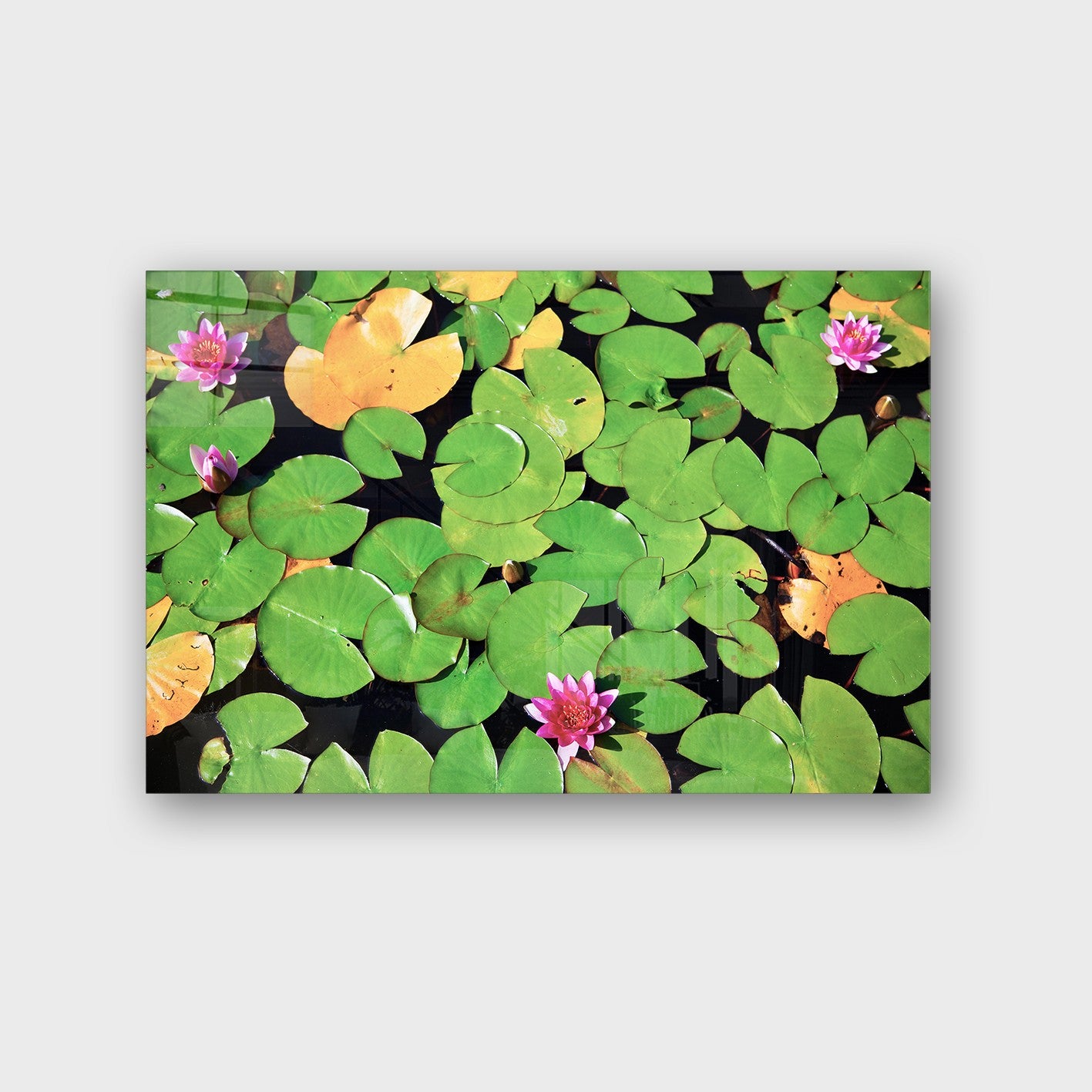 Quadro Decorativo em Vidro Temperado Multicolor 40x60cm - Arte Moderna para Parede