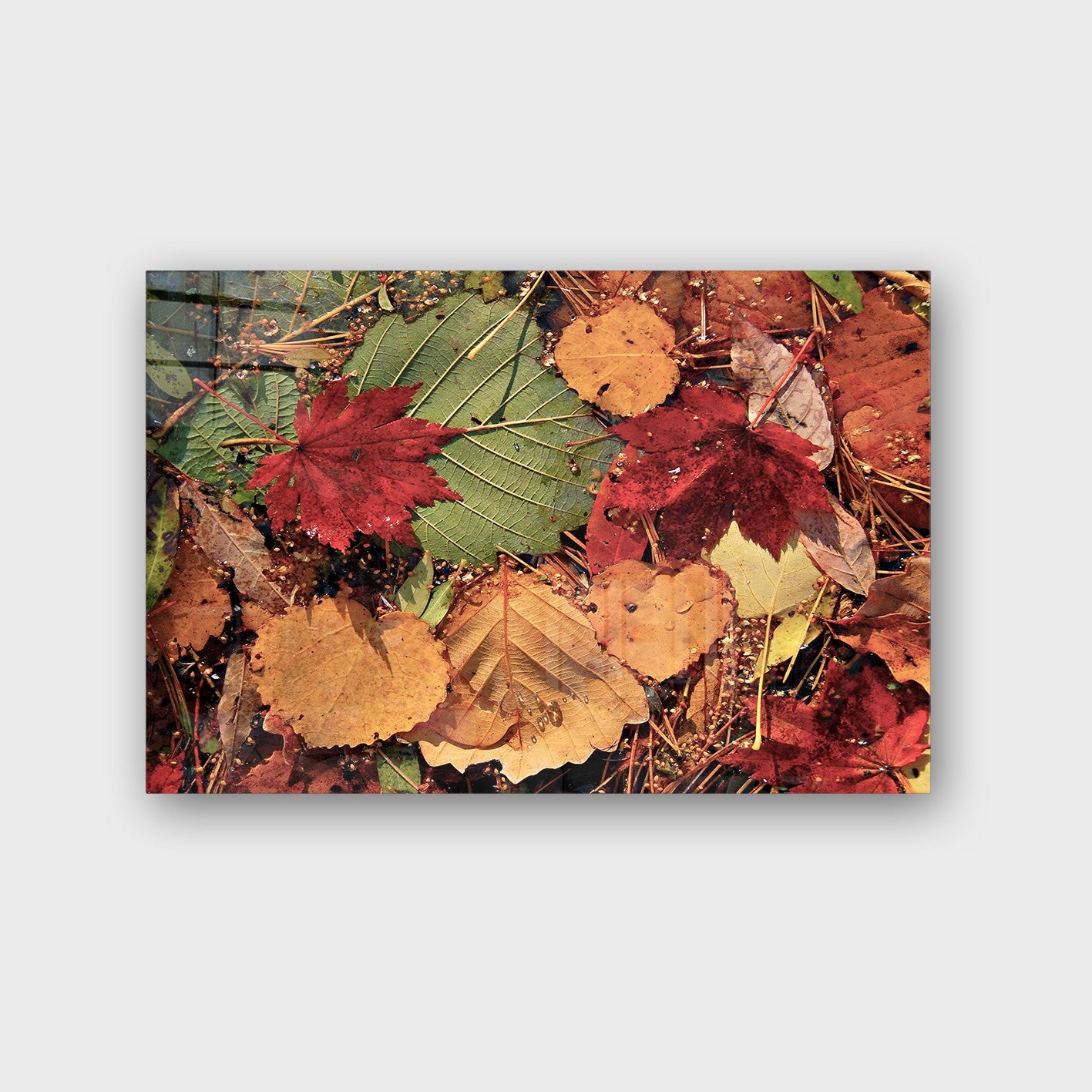 Quadro Decorativo em Vidro Temperado Multicolor 70x100cm - Arte Moderna para Parede