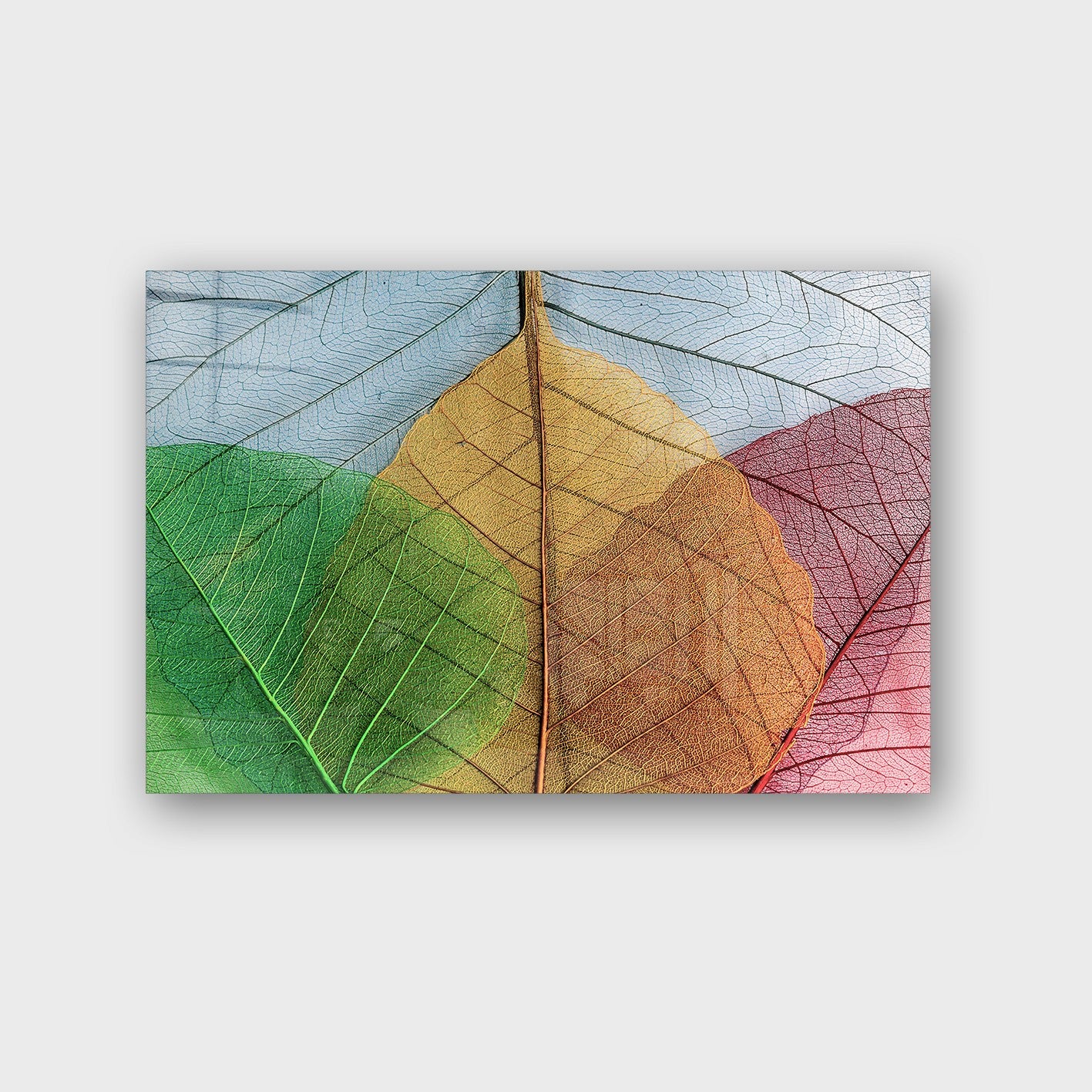 Quadro Decorativo em Vidro Temperado Multicolor 70x100cm - Arte Moderna para Parede