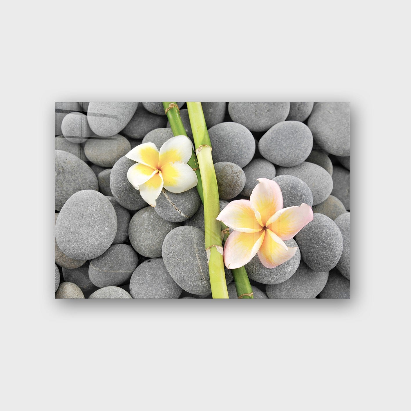 Quadro Decorativo em Vidro Temperado Multicolor 70x100cm - Arte Moderna para Parede