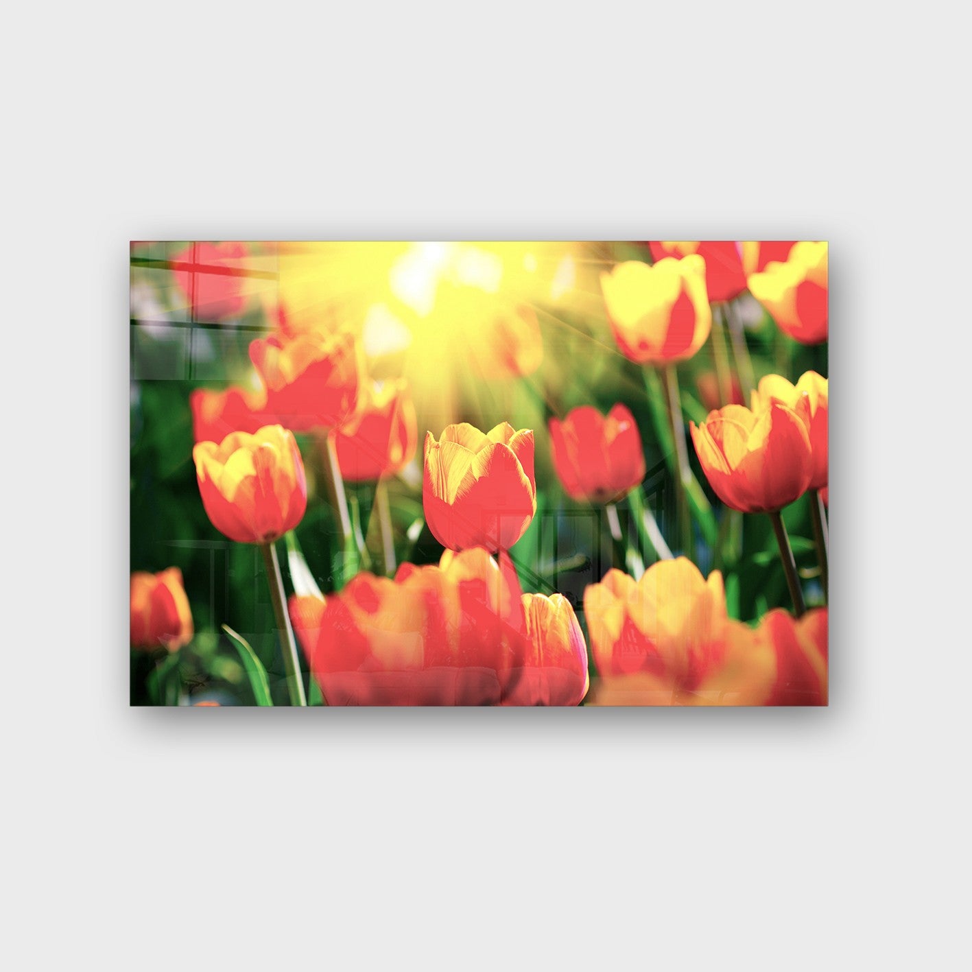 Quadro Decorativo em Vidro Temperado Multicolor 70x100cm - Arte Moderna para Parede