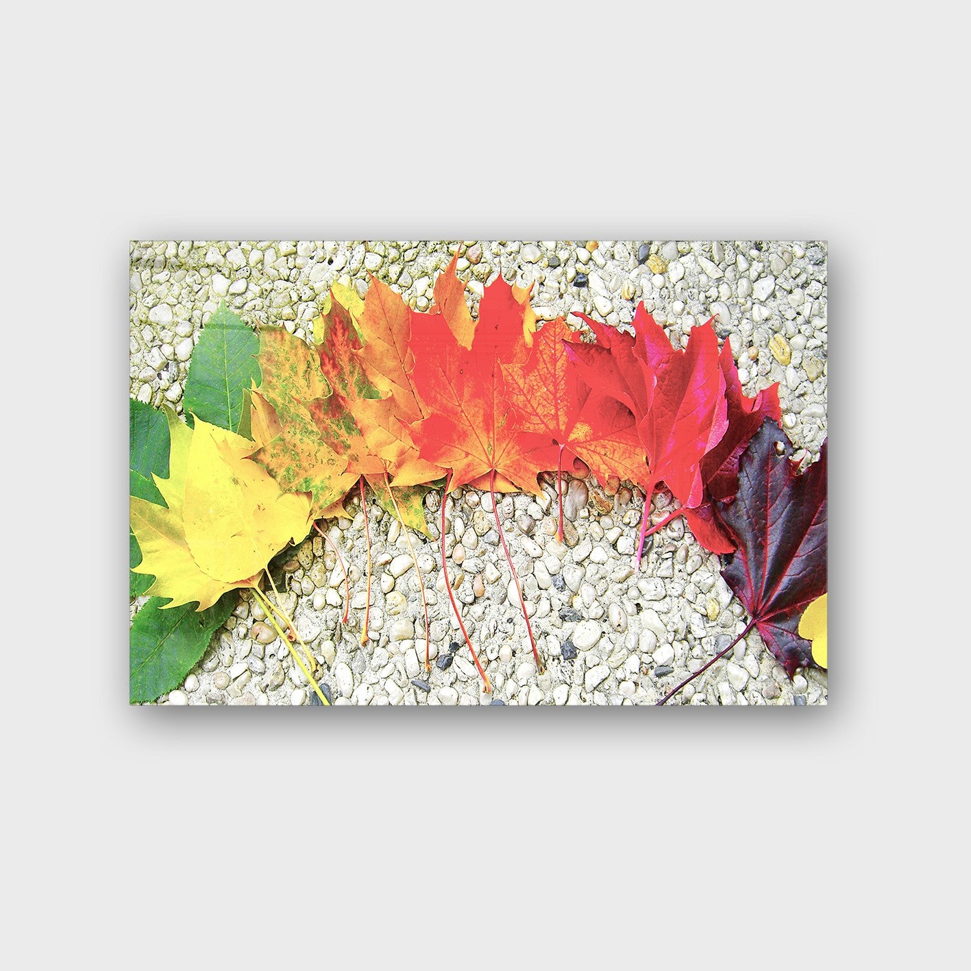 Quadro Decorativo em Vidro Temperado Multicolor 40x60cm - Arte Moderna para Parede