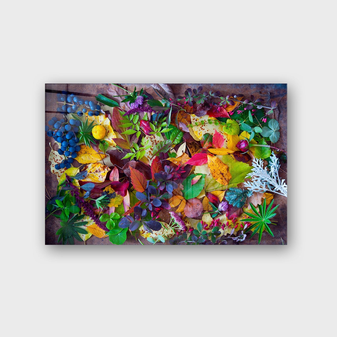 Quadro Decorativo em Vidro Temperado Multicolor 40x60cm - Arte Moderna para Parede