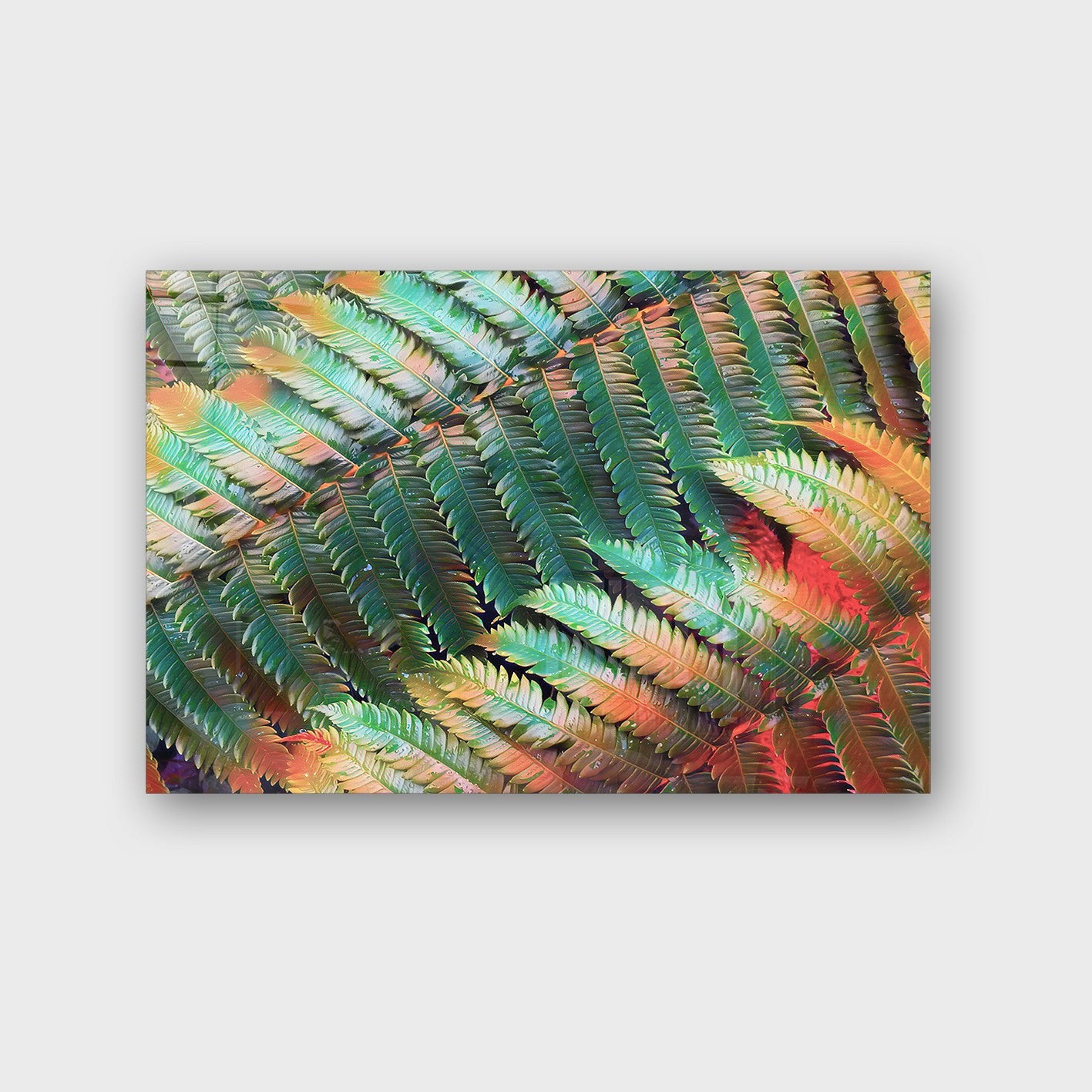 Quadro Decorativo em Vidro Temperado Multicolor 40x60cm - Arte Moderna para Parede