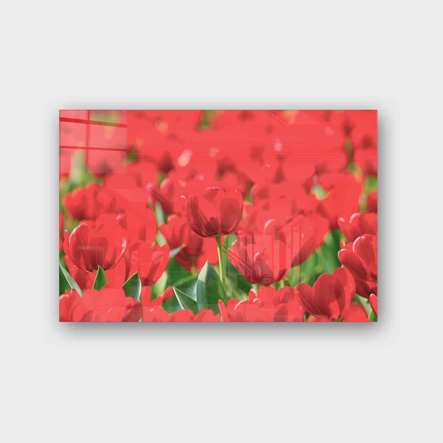 Quadro Decorativo em Vidro Temperado Multicolor 70x100cm - Arte Moderna para Parede