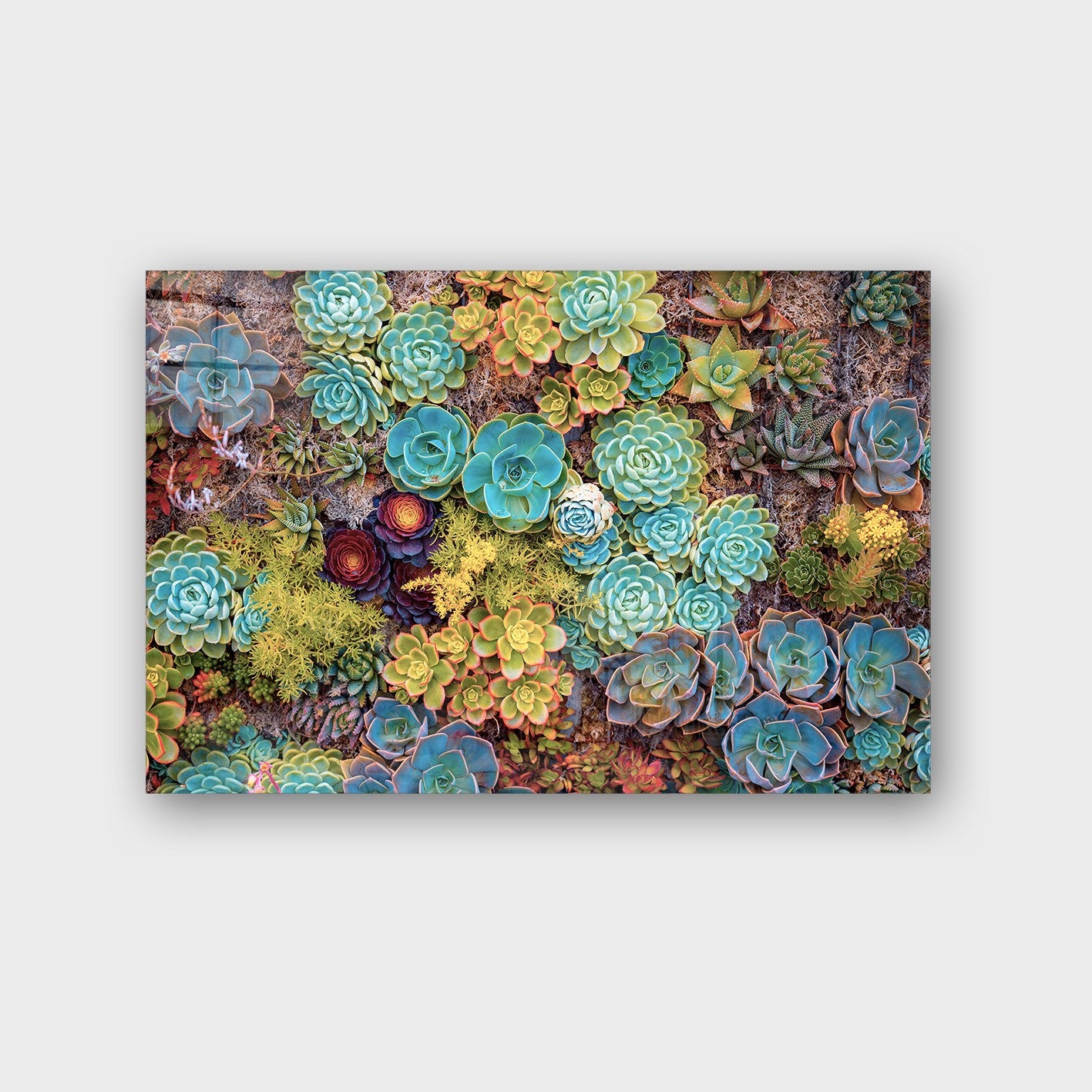 Quadro Decorativo em Vidro Temperado Multicolor 70x100cm - Arte Moderna para Parede