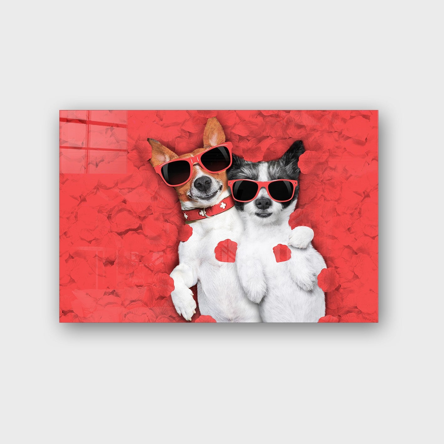 Quadro Decorativo em Vidro Temperado Multicolor 40x60cm - Arte Moderna para Parede