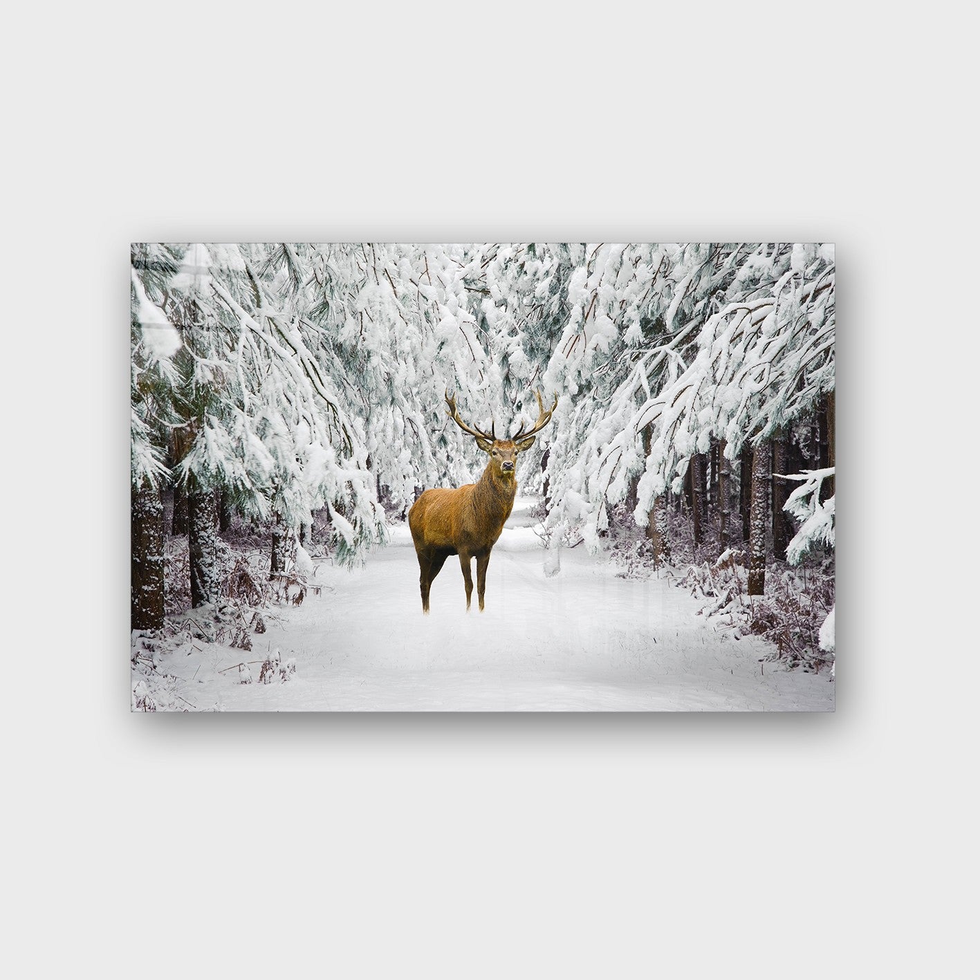 Quadro Decorativo em Vidro Temperado Multicolor 70x100cm - Arte Moderna para Parede