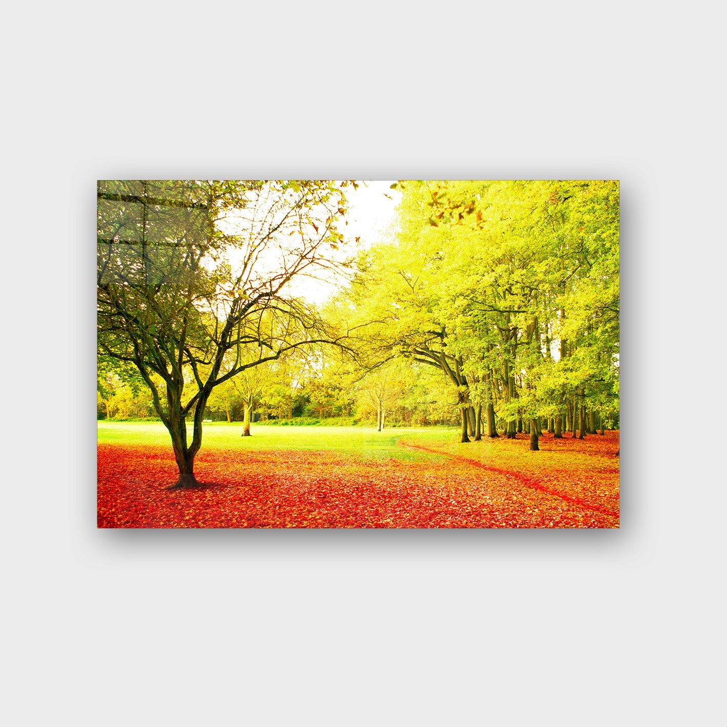 Quadro Decorativo em Vidro Temperado Multicolor 70x100cm - Arte Moderna para Parede