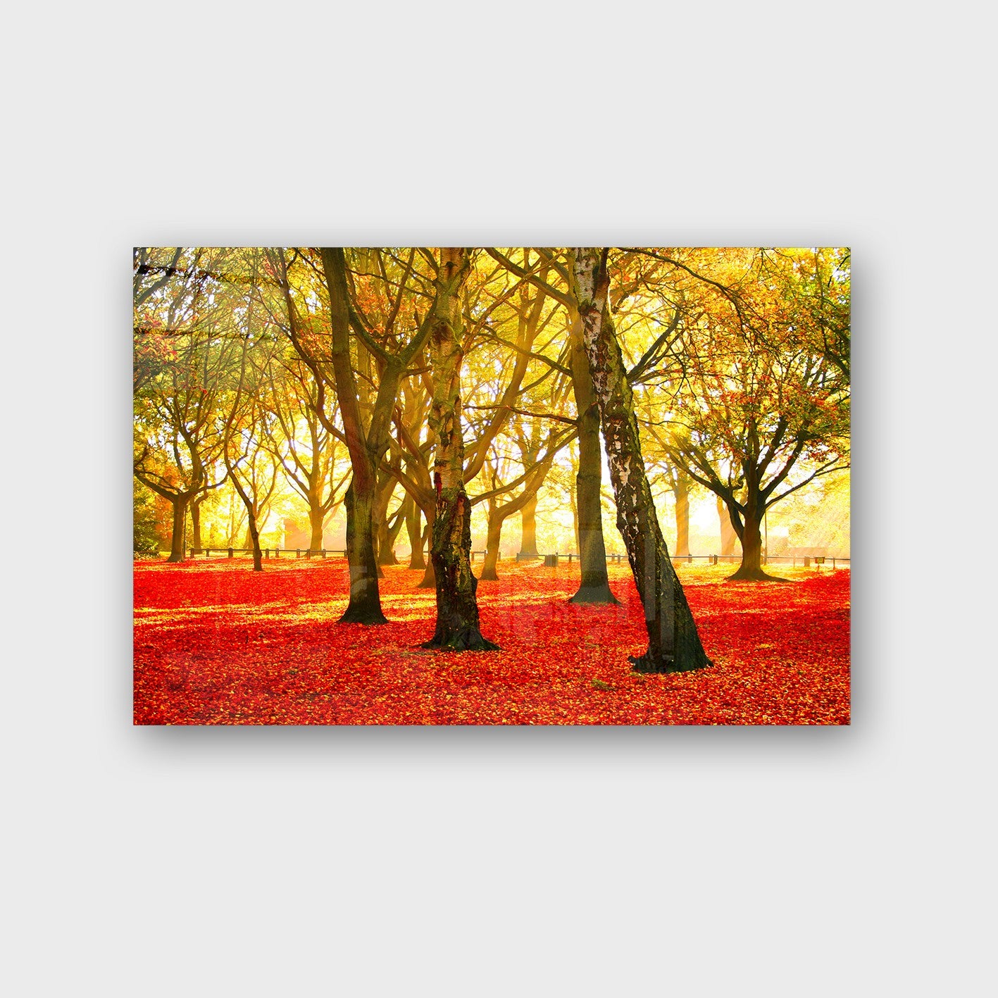 Quadro Decorativo em Vidro Temperado Multicolor 50x70cm - Arte Moderna para Parede