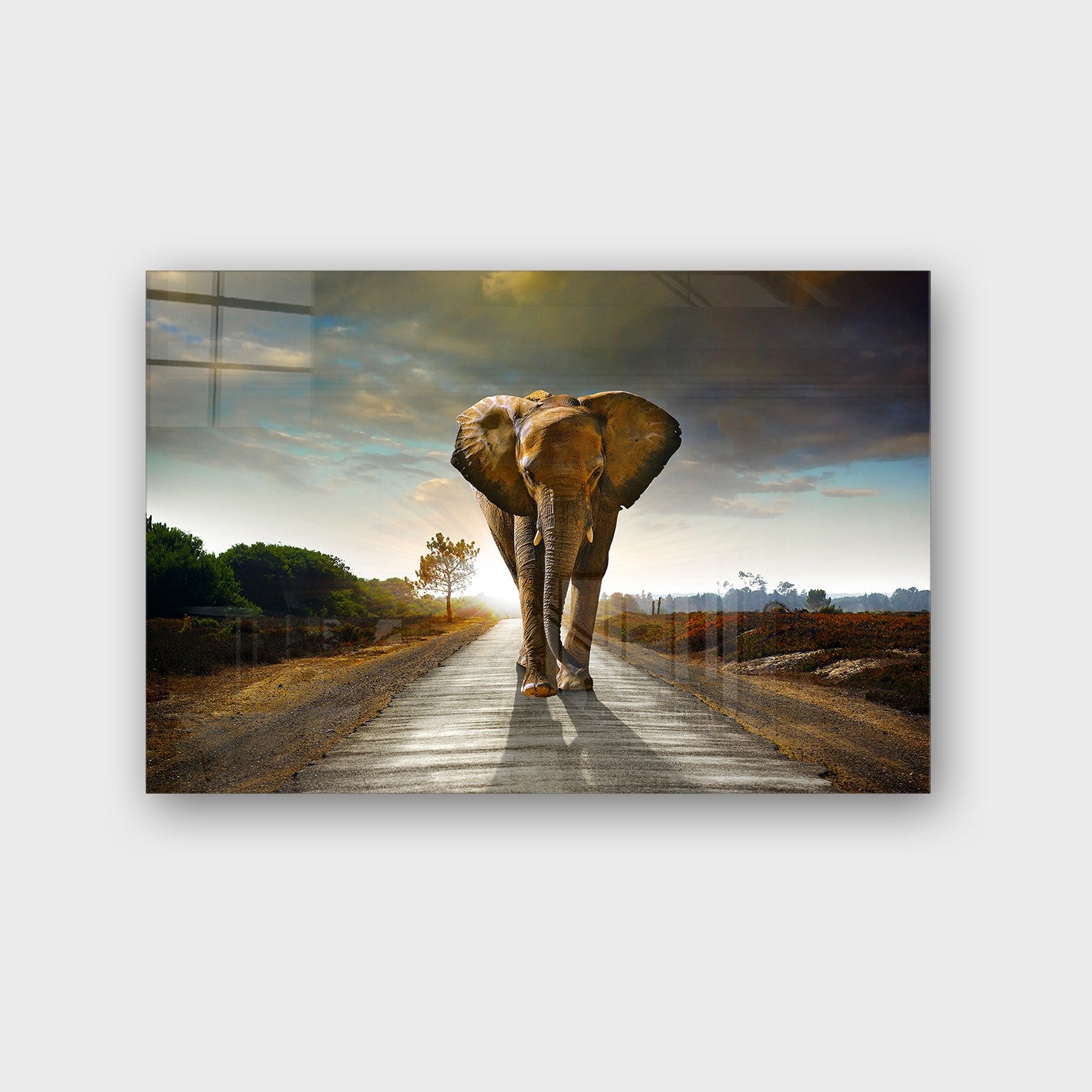 Quadro Decorativo em Vidro Temperado Multicolor 50x70cm - Arte Moderna para Parede