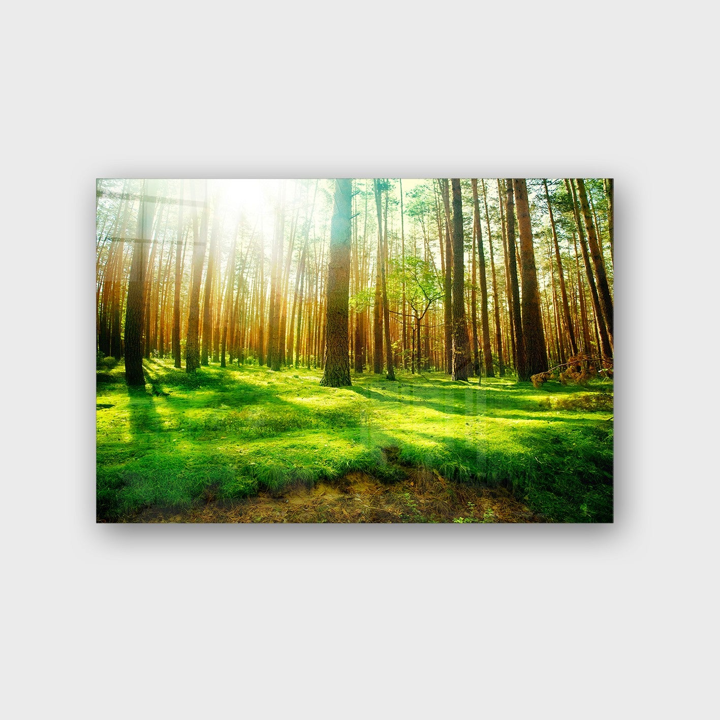 Quadro Decorativo em Vidro Temperado Multicolor 70x100cm - Arte Moderna para Parede