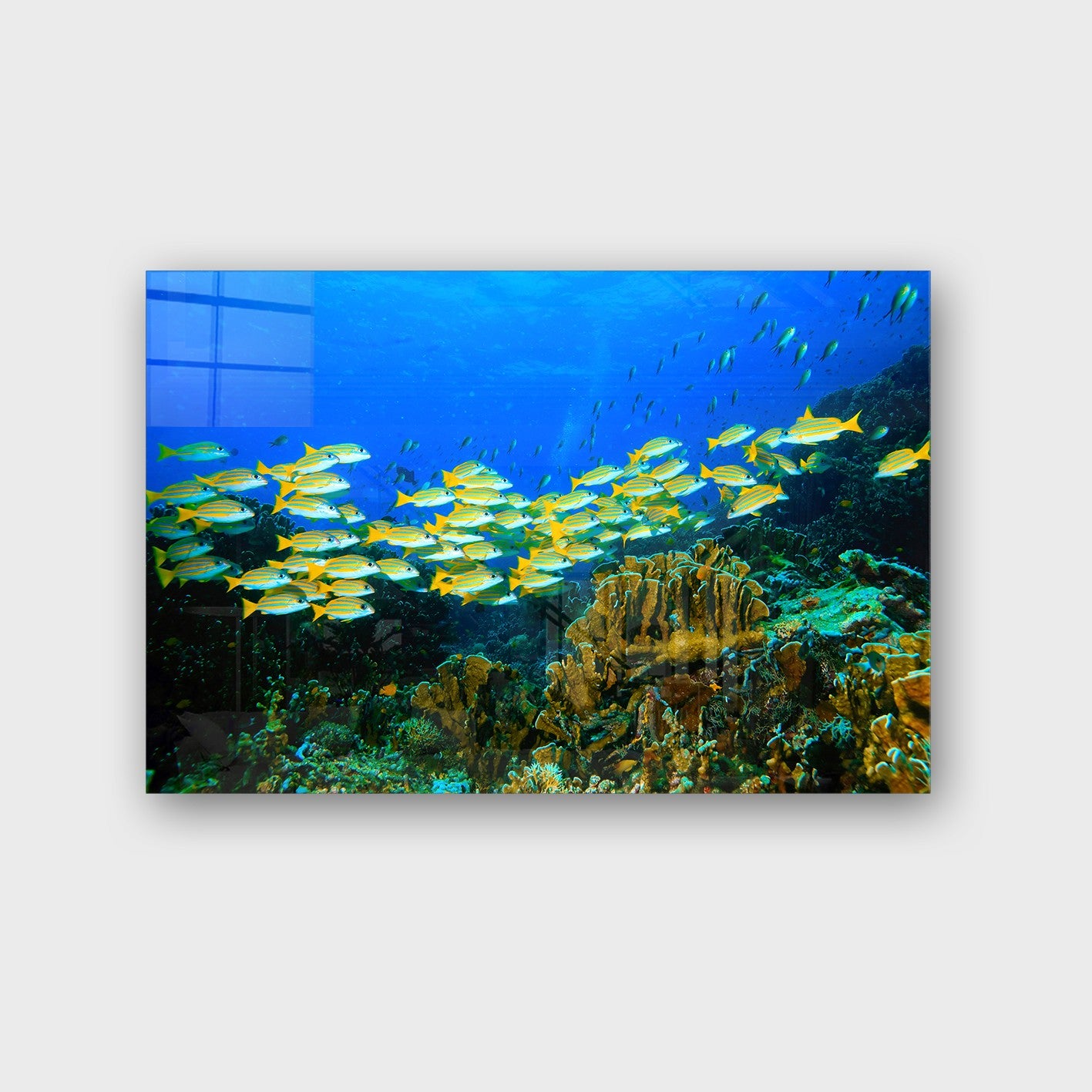 Quadro Decorativo em Vidro Temperado Multicolor 40x60cm - Arte Moderna para Parede