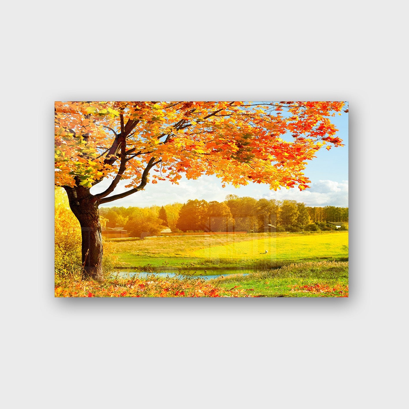 Quadro Decorativo em Vidro Temperado Multicolor 40x60cm - Arte Moderna para Parede