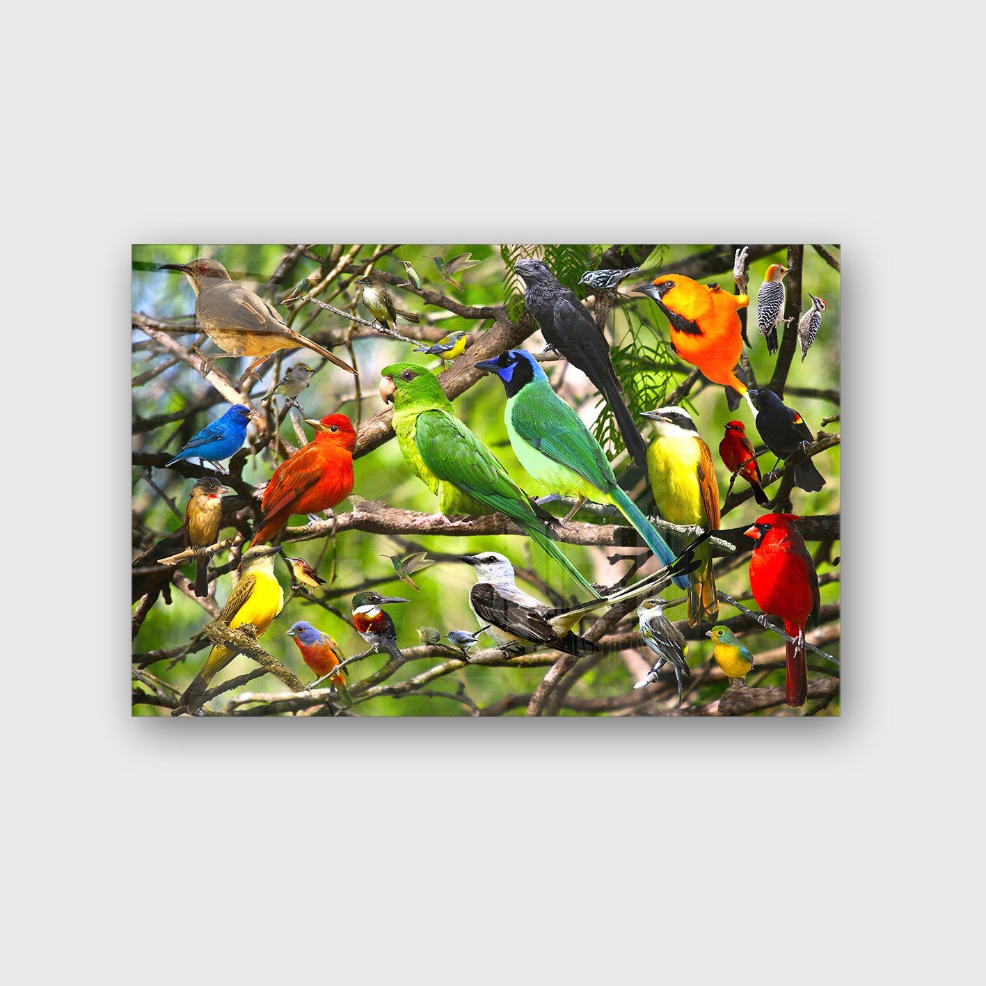 Quadro Decorativo em Vidro Temperado Multicolor 50x70cm - Arte Moderna para Parede