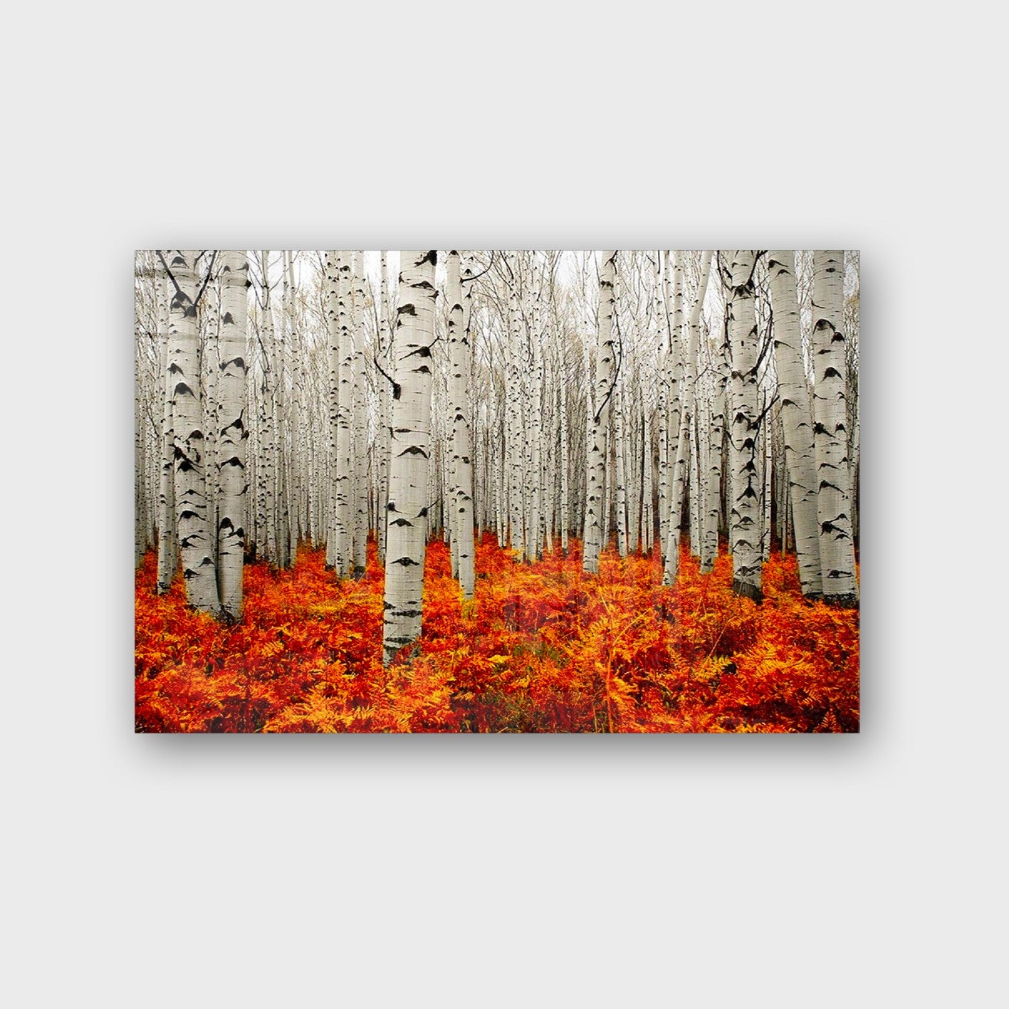 Quadro Decorativo em Vidro Temperado Multicolor 70x100cm - Arte Moderna para Parede