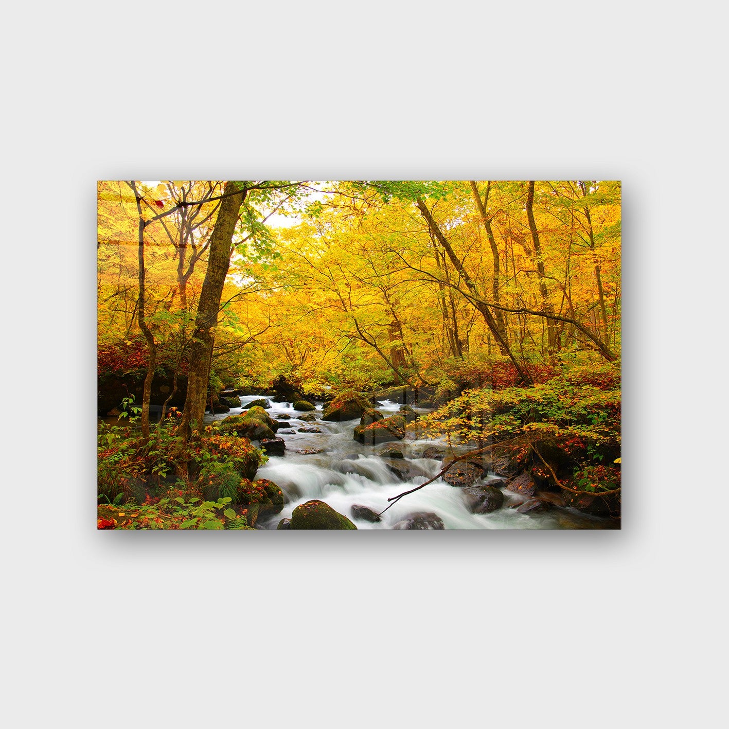 Quadro Decorativo em Vidro Temperado Multicolor 40x60cm - Arte Moderna para Parede