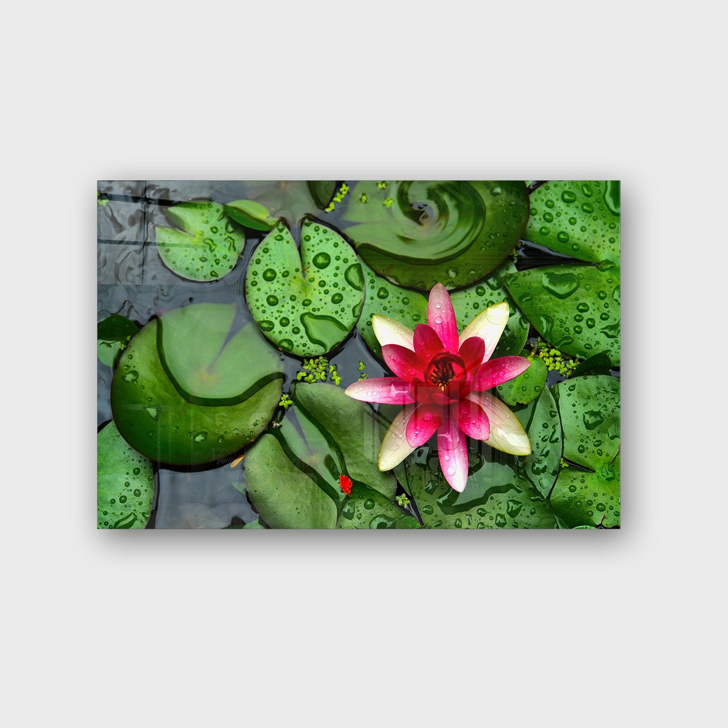 Quadro Decorativo em Vidro Temperado Multicolor 40x60cm - Arte Moderna para Parede