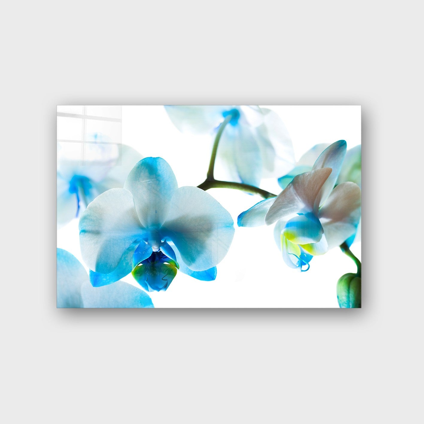 Quadro Decorativo em Vidro Temperado Multicolor 40x60cm - Arte Moderna para Parede