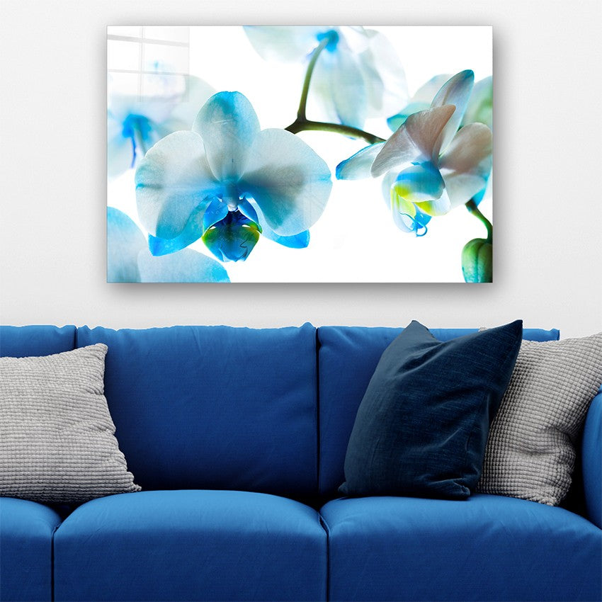 Quadro Decorativo em Vidro Temperado Multicolor 50x70cm - Arte Moderna para Parede