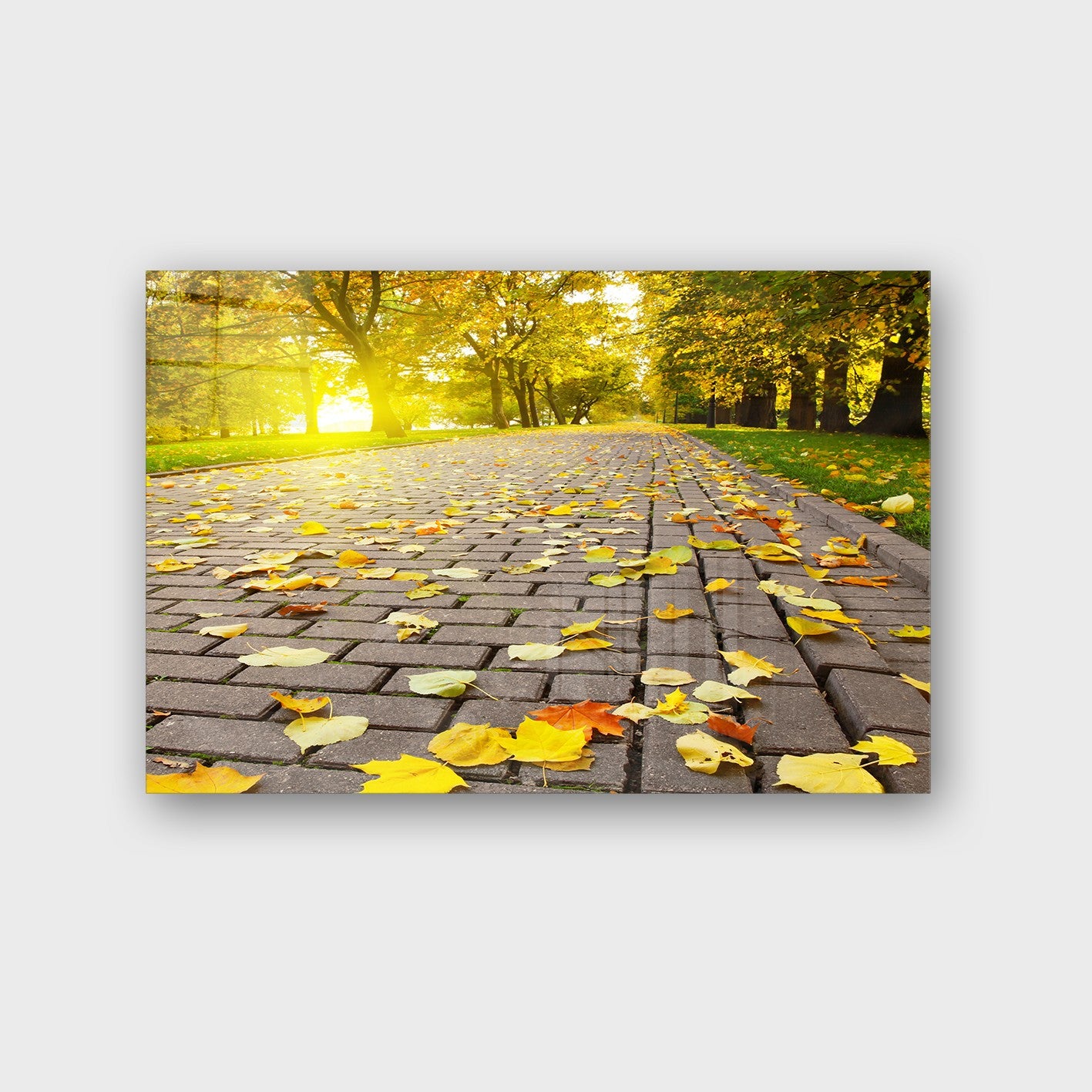 Quadro Decorativo em Vidro Temperado Multicolor 70x100cm - Arte Moderna para Parede