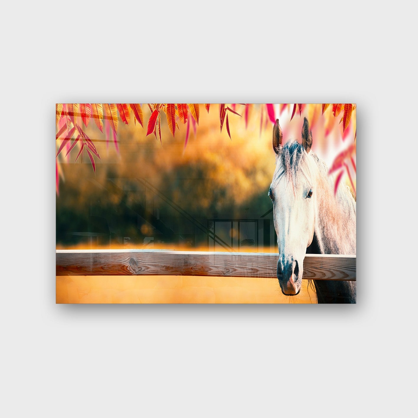 Quadro Decorativo em Vidro Temperado Multicolor 70x100cm - Arte Moderna para Parede