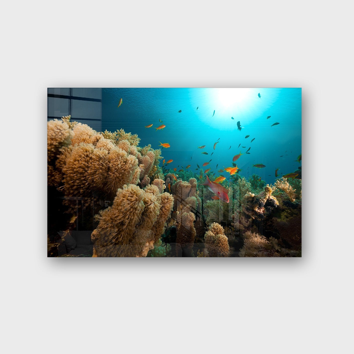 Quadro Decorativo em Vidro Temperado Multicolor 40x60cm - Arte Moderna para Parede