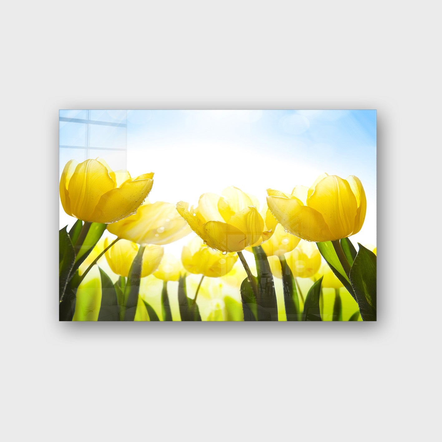 Quadro Decorativo em Vidro Temperado Multicolor 70x100cm - Arte Moderna para Parede