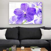 Quadro Decorativo em Vidro Temperado Multicolor 40x60cm - Arte Moderna para Parede