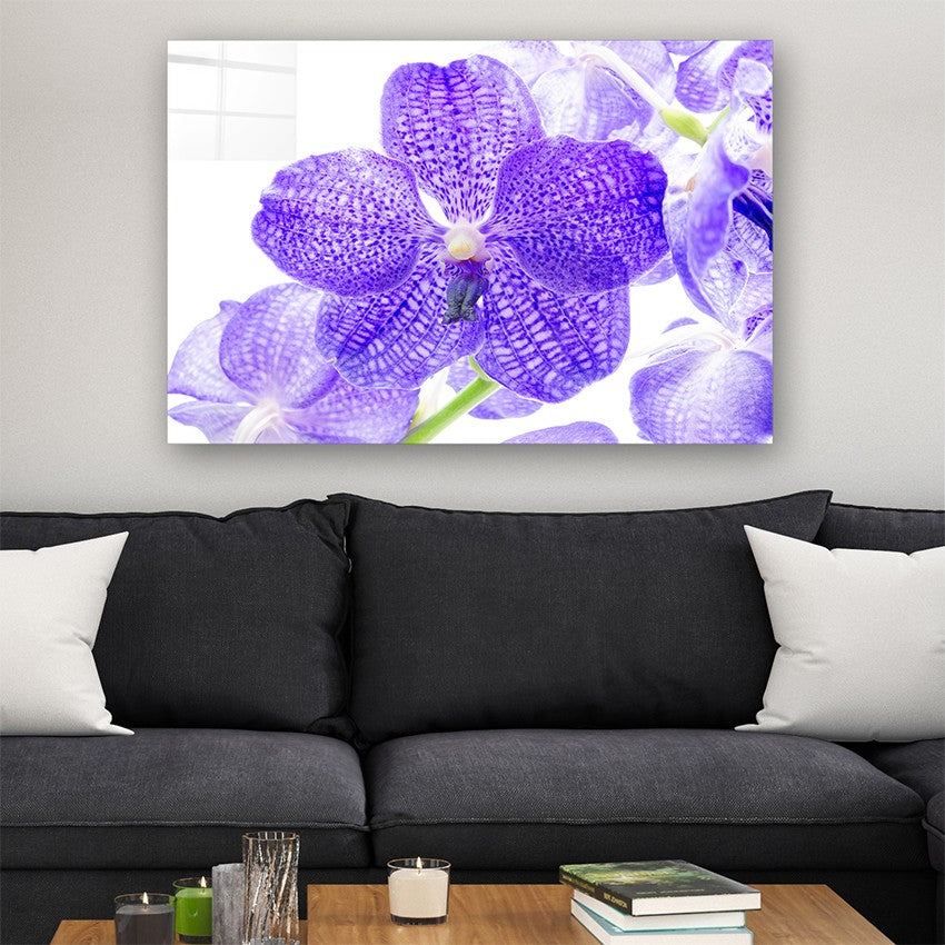 Quadro Decorativo em Vidro Temperado Multicolor 50x70cm - Arte Moderna para Parede